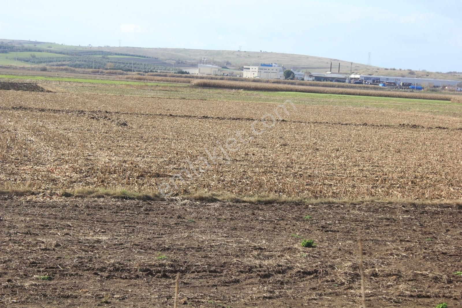 Bursa Karacabey Tophisar 6750 M2 Tarla