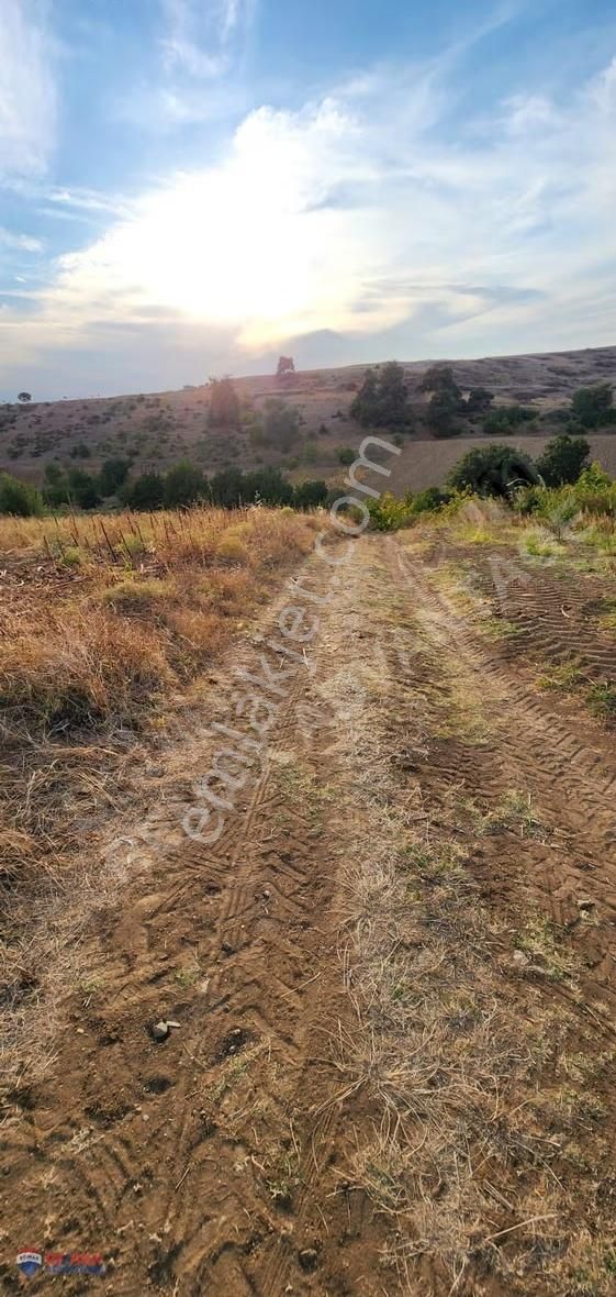 Remax Advantage'dan Yenışehır Alaylı'da Tarla - Görsel 2