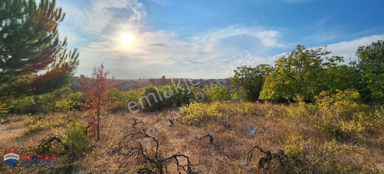 Remax Advantage'dan Yenışehır Alaylı'da Tarla - Görsel 4