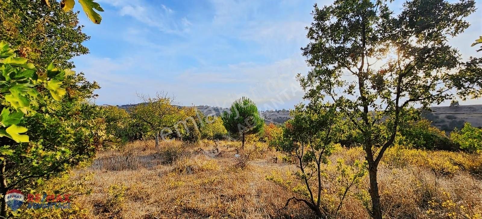 Remax Advantage'dan Yenışehır Alaylı'da Tarla - Görsel 5