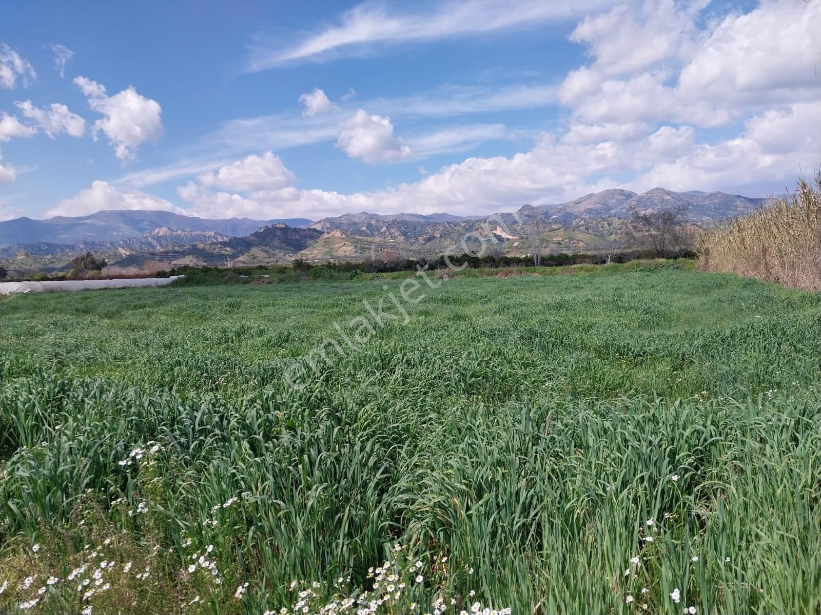 Satılık Tarla - Görsel 17