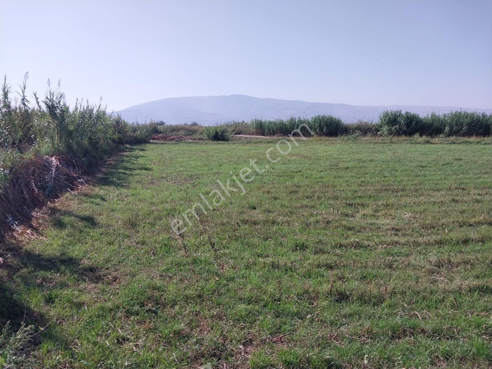 Satılık Tarla - Görsel 6