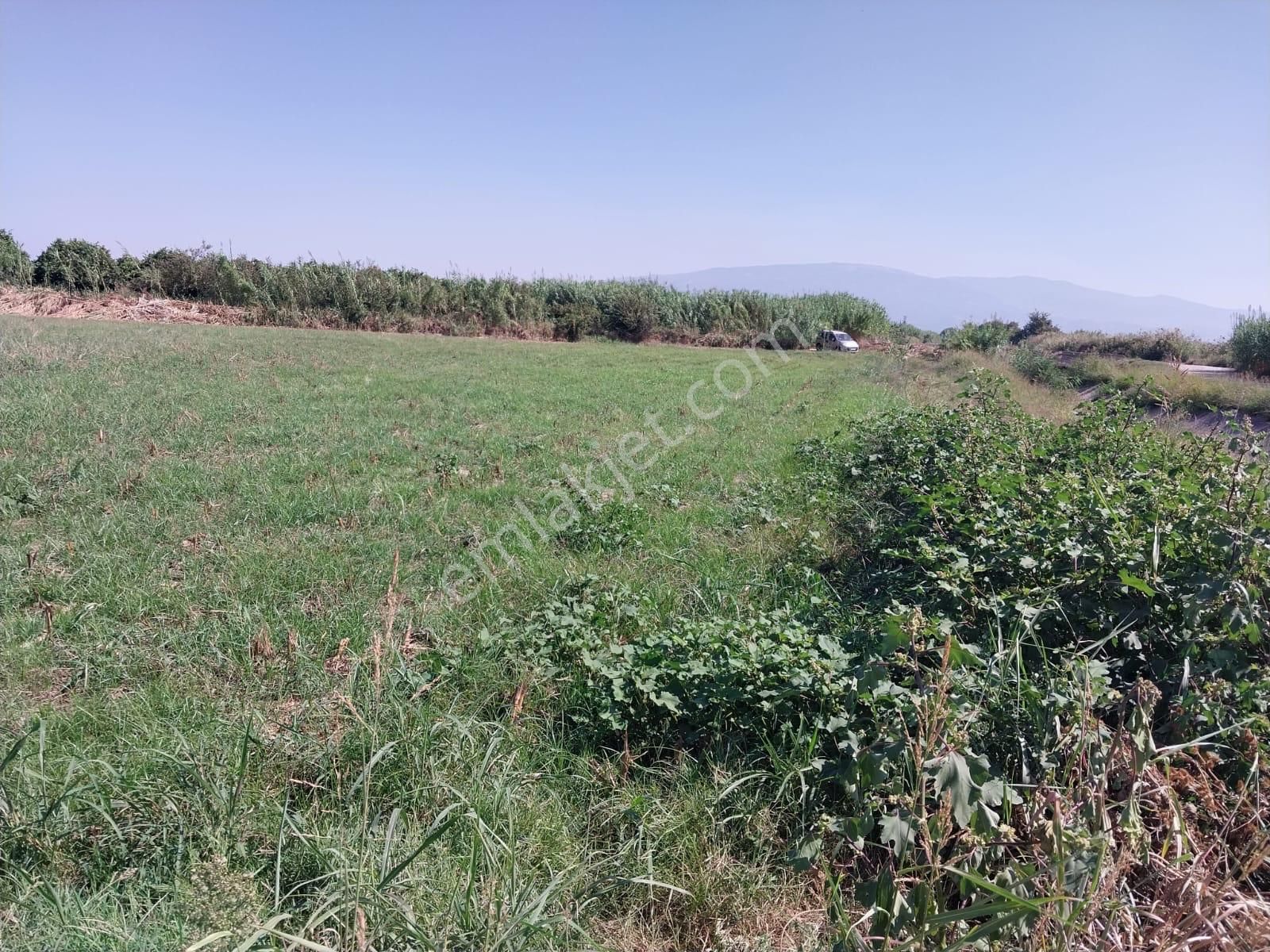 Satılık Tarla - Görsel 8