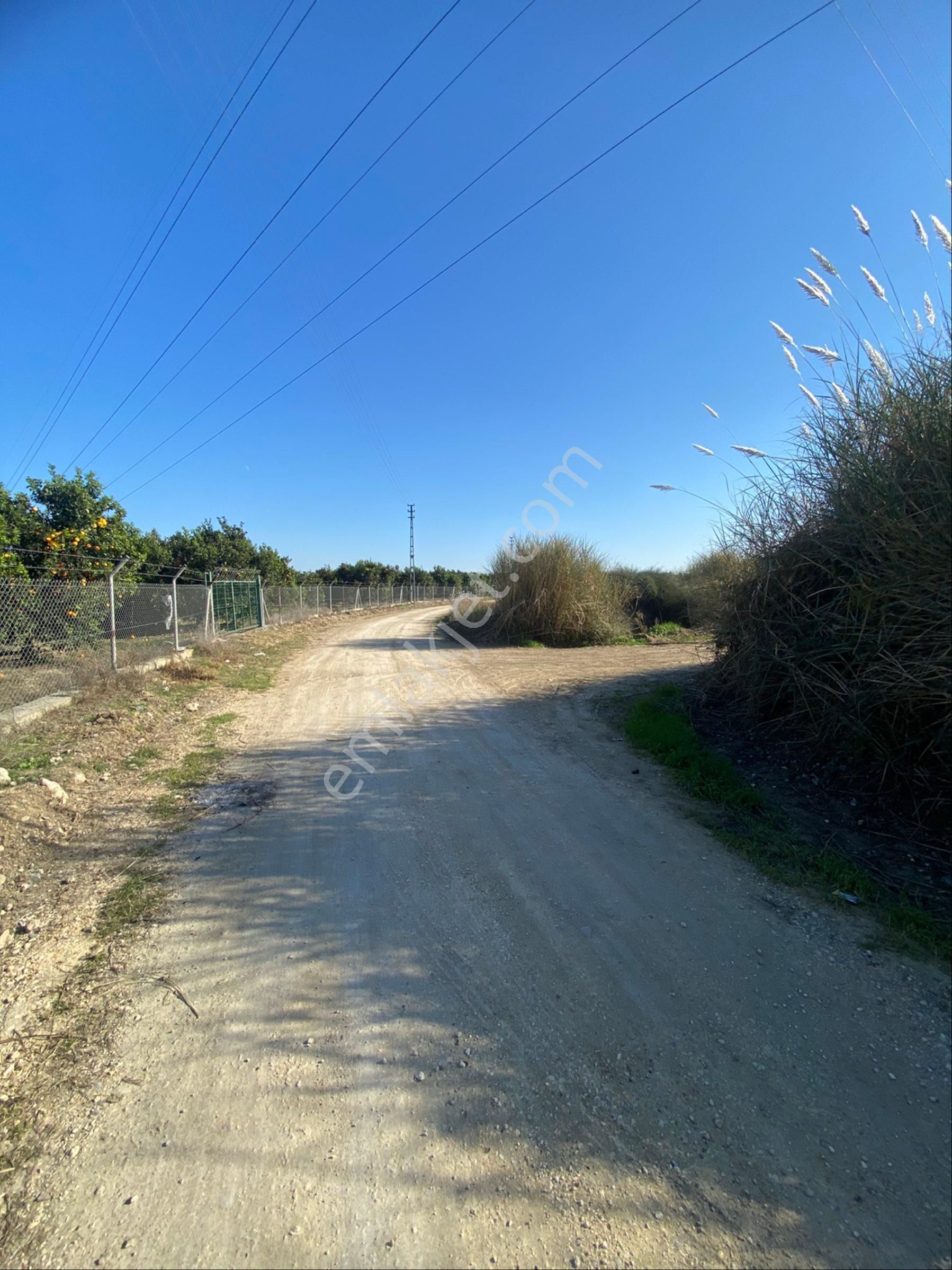 Kürtmusa Mah Özbek Köyünde Bulunan Bahçemiz Satılıktır - Görsel 20