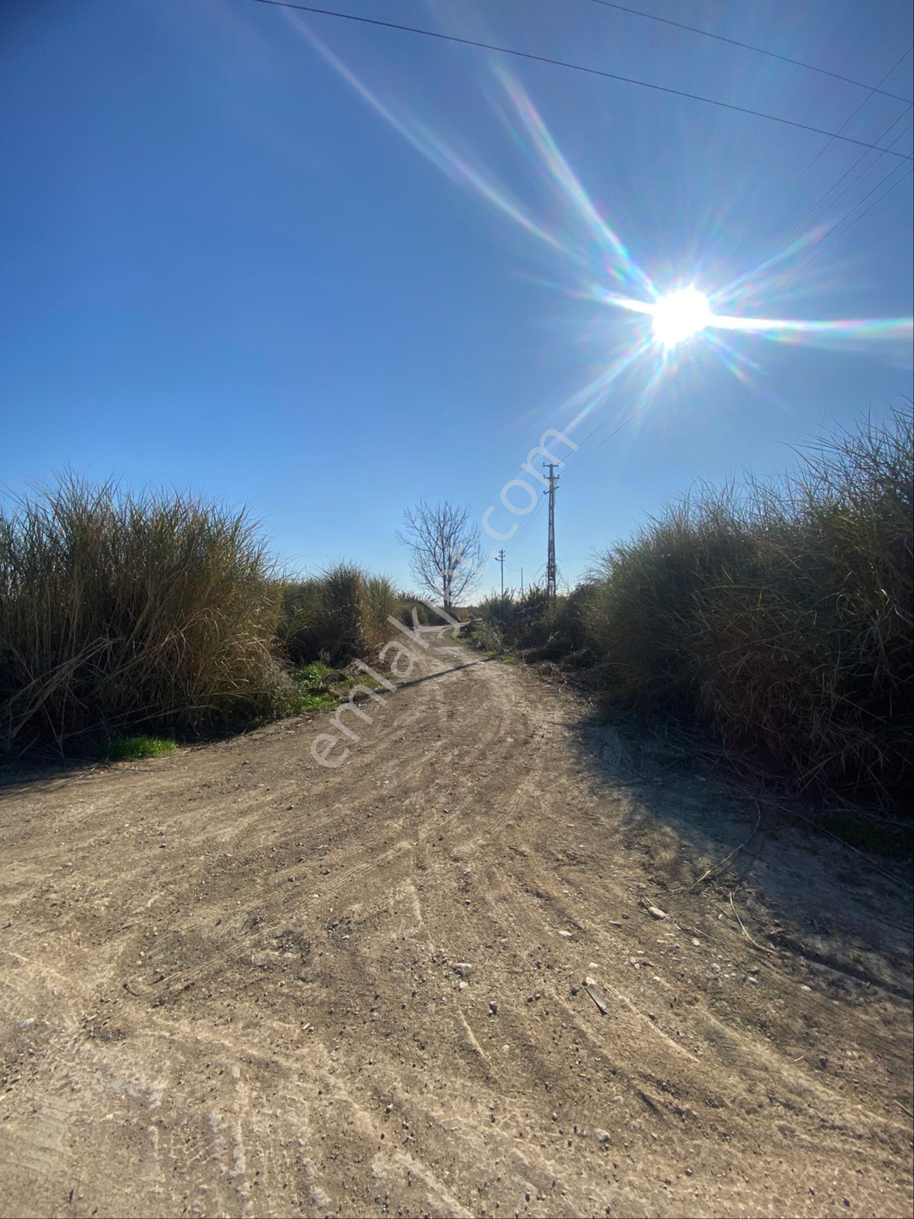 Kürtmusa Mah Özbek Köyünde Bulunan Bahçemiz Satılıktır - Görsel 21