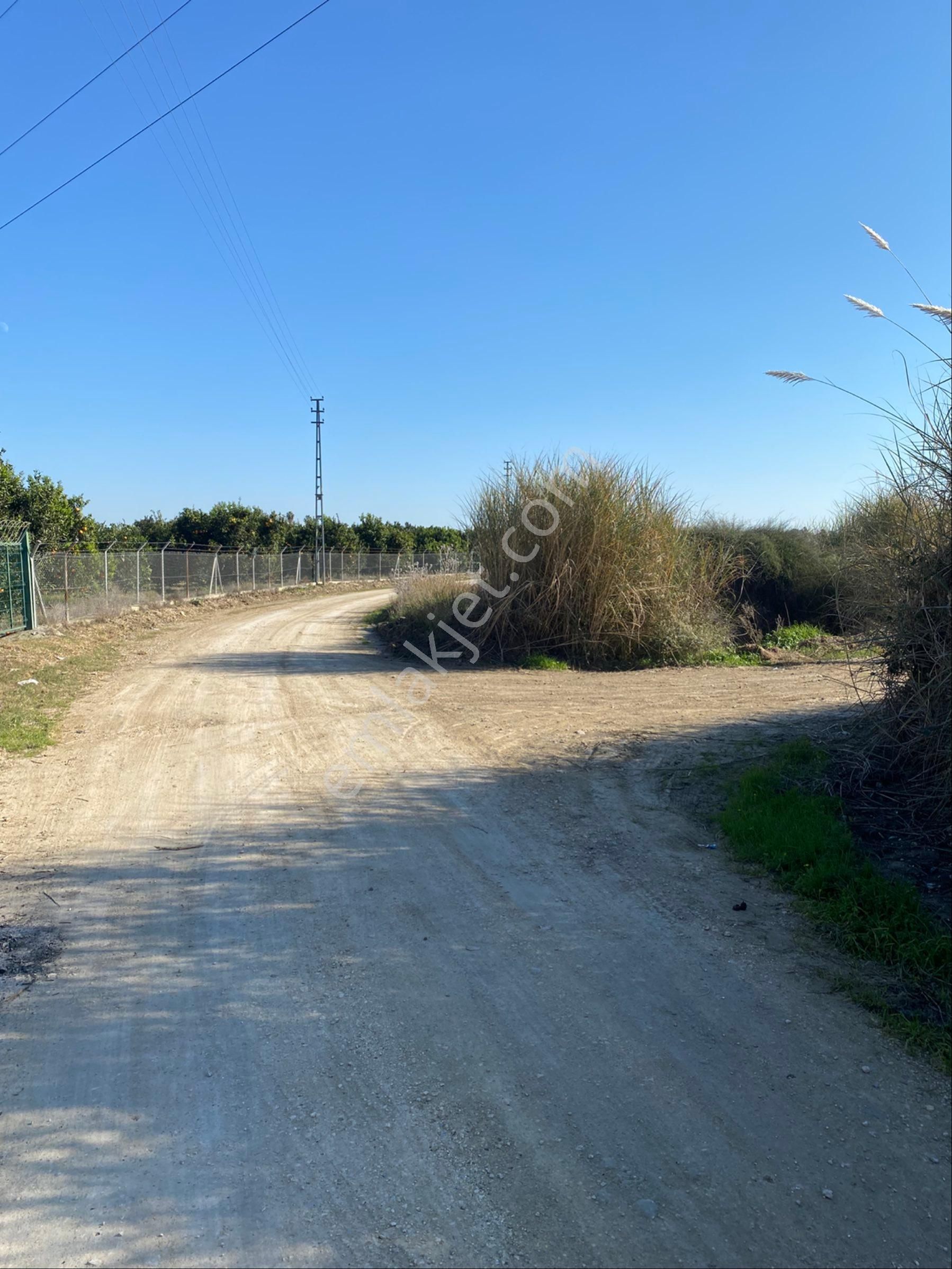 Kürtmusa Mah Özbek Köyünde Bulunan Bahçemiz Satılıktır - Görsel 16