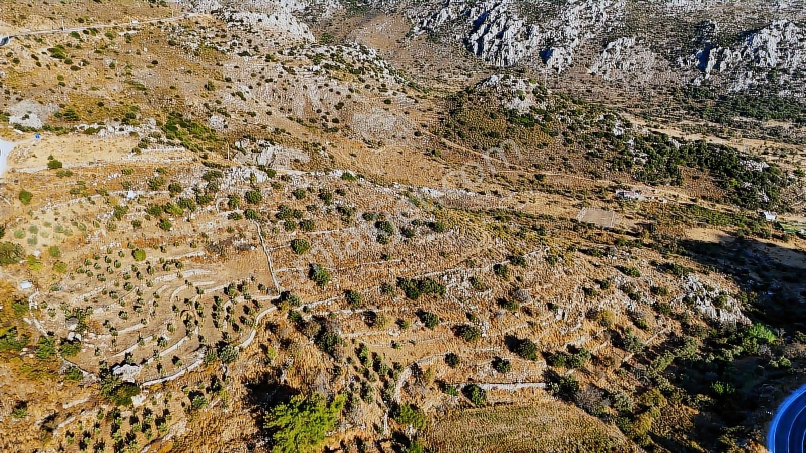 Cb Marina'dan Marmaris Bozburun Yeşilova'da 2731m2 Satılık Tarla - Görsel 15