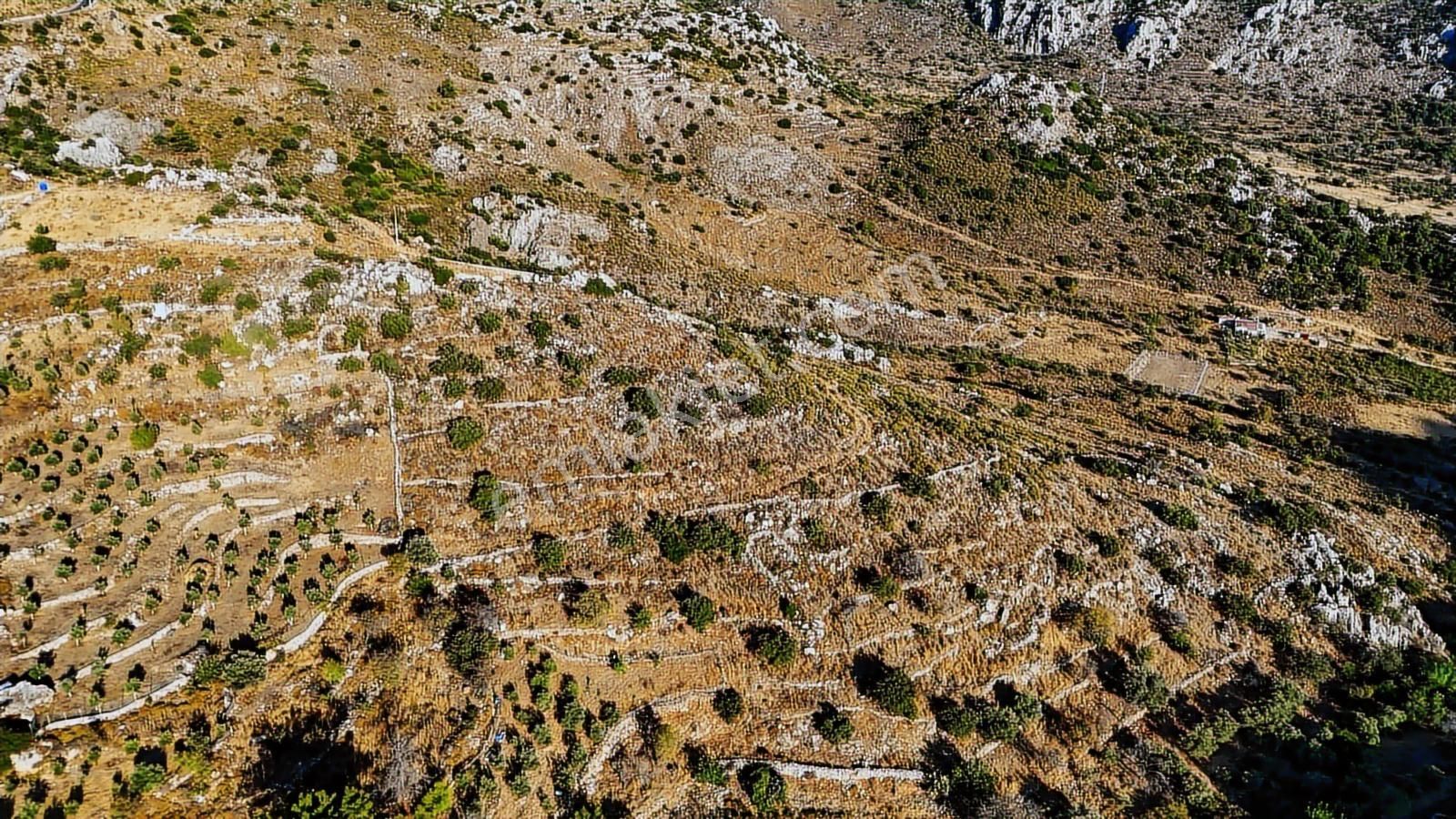 Cb Marina'dan Marmaris Bozburun Yeşilova'da 2731m2 Satılık Tarla - Görsel 7