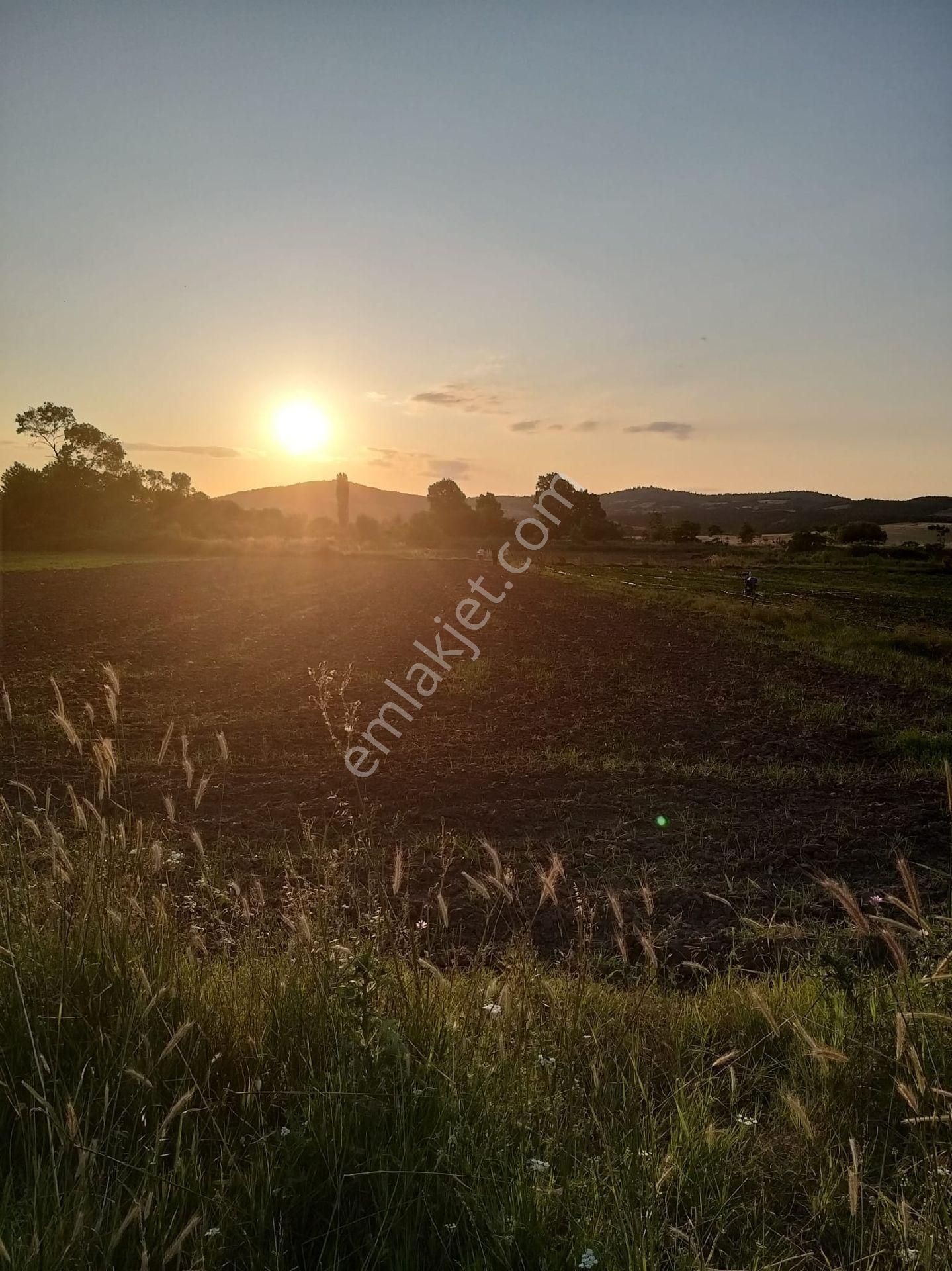 Han Emlak Otomotiv'den Biga Çelikgürü Köyünde 1340 M2 Satılık Tarla