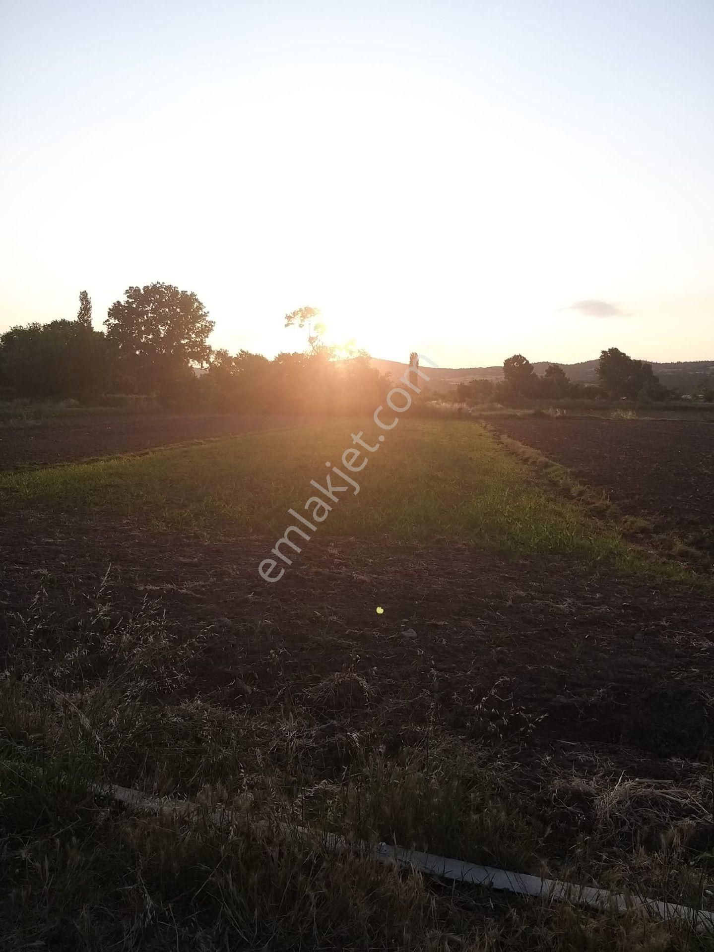 Han Emlak Otomotiv'den Biga Çelikgürü Köyünde 1340 M2 Satılık Tarla - Görsel 4
