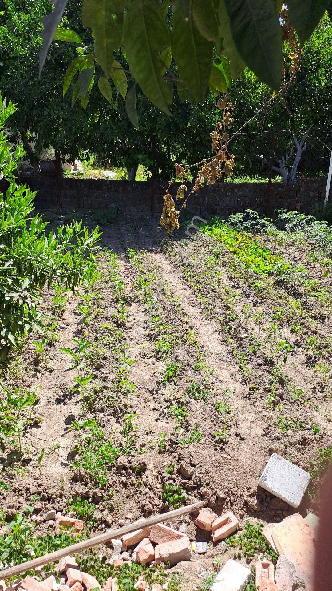 Müstakil 2 Katlı - Görsel 17