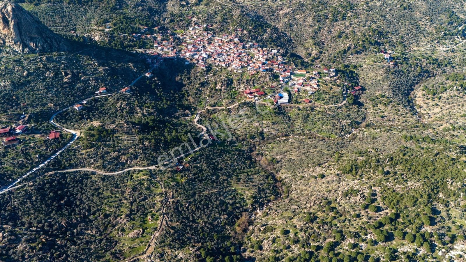 Hem Üretim Hem Yatırım: 7.318 M2 Bakımlı Zeytinlik - Görsel 10