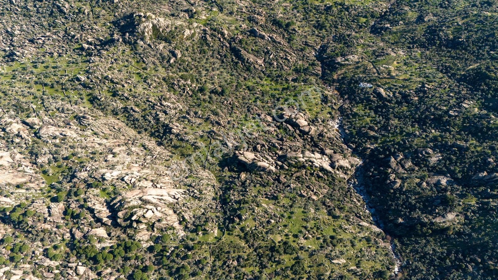 Hem Üretim Hem Yatırım: 7.318 M2 Bakımlı Zeytinlik - Görsel 9