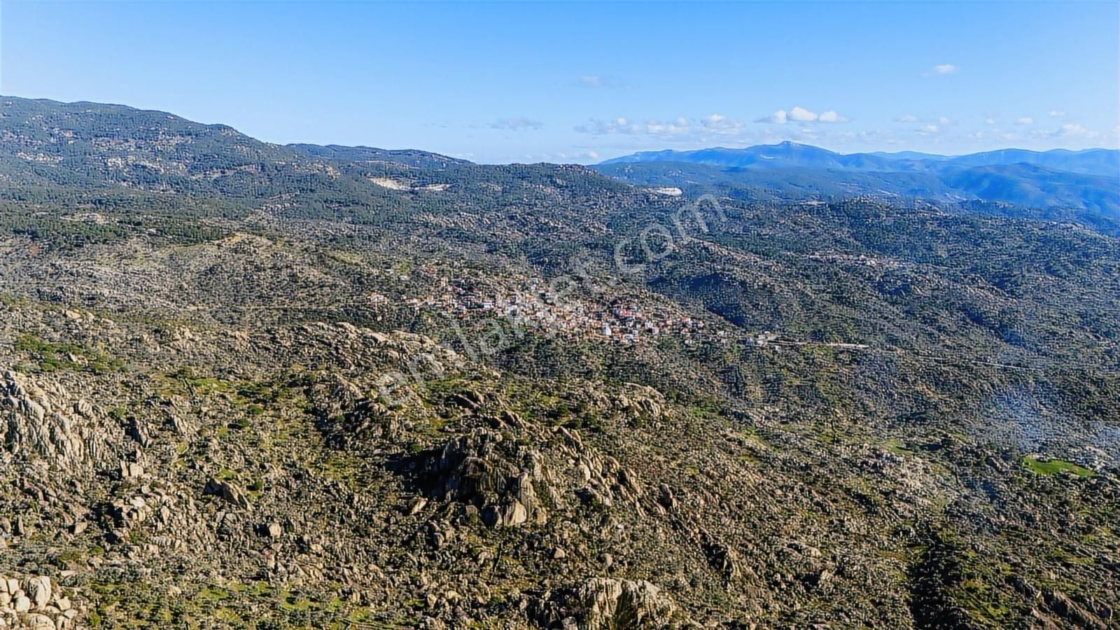 Hem Üretim Hem Yatırım: 7.318 M2 Bakımlı Zeytinlik - Görsel 6
