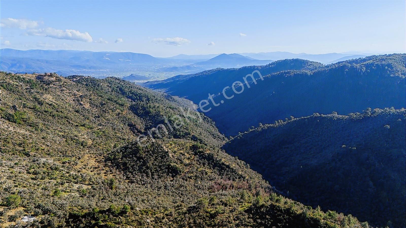 Hem Yatırımlık Hem Kullanışlı: Yolu Mevcut, Köye Yakın 5.875 M2 - Görsel 10