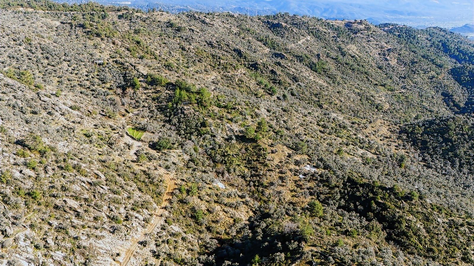 Hem Yatırımlık Hem Kullanışlı: Yolu Mevcut, Köye Yakın 5.875 M2 - Görsel 7