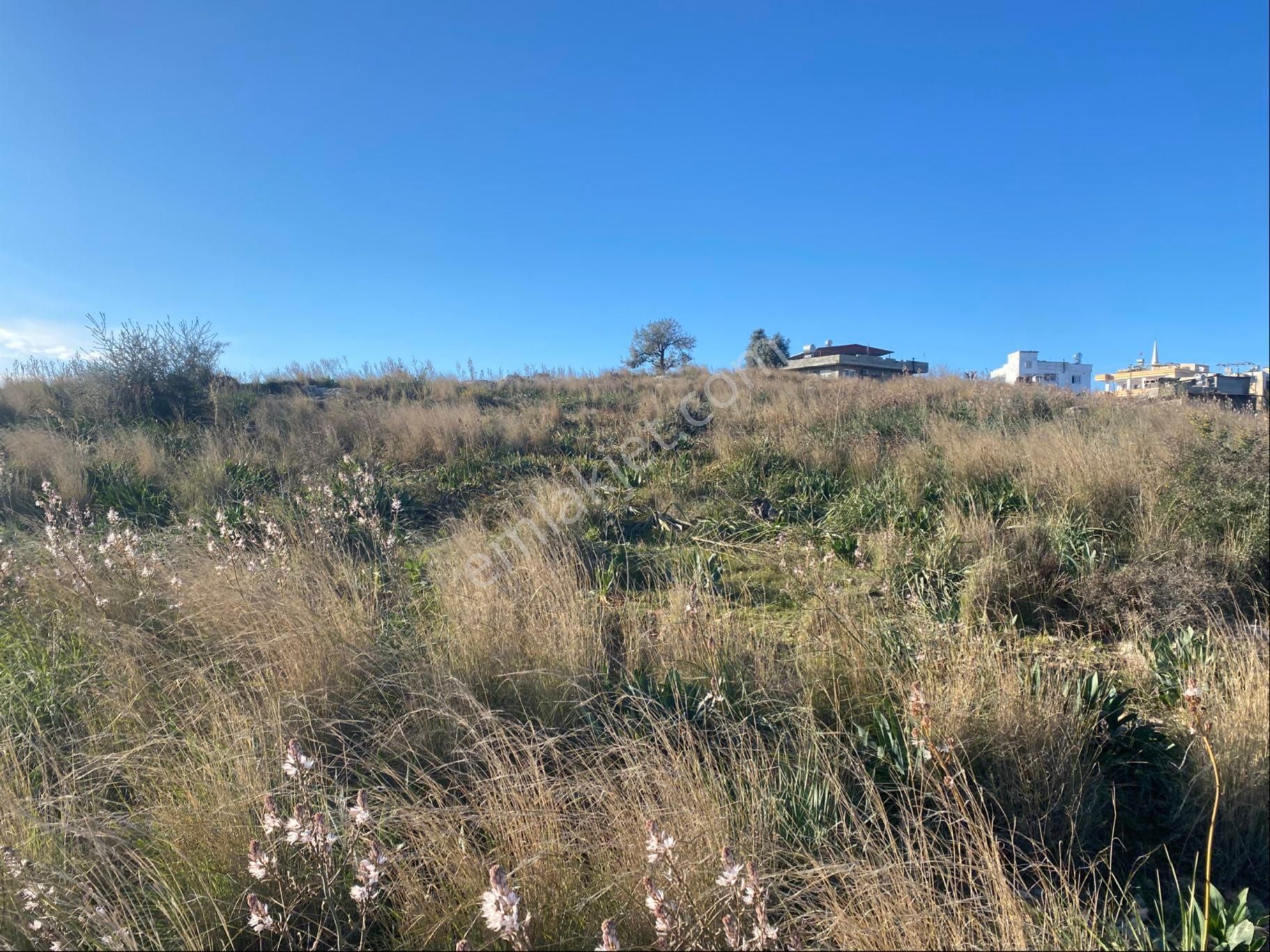 Akgedik Köyünde Bulunan Tarlamız Satılıktır - Görsel 11