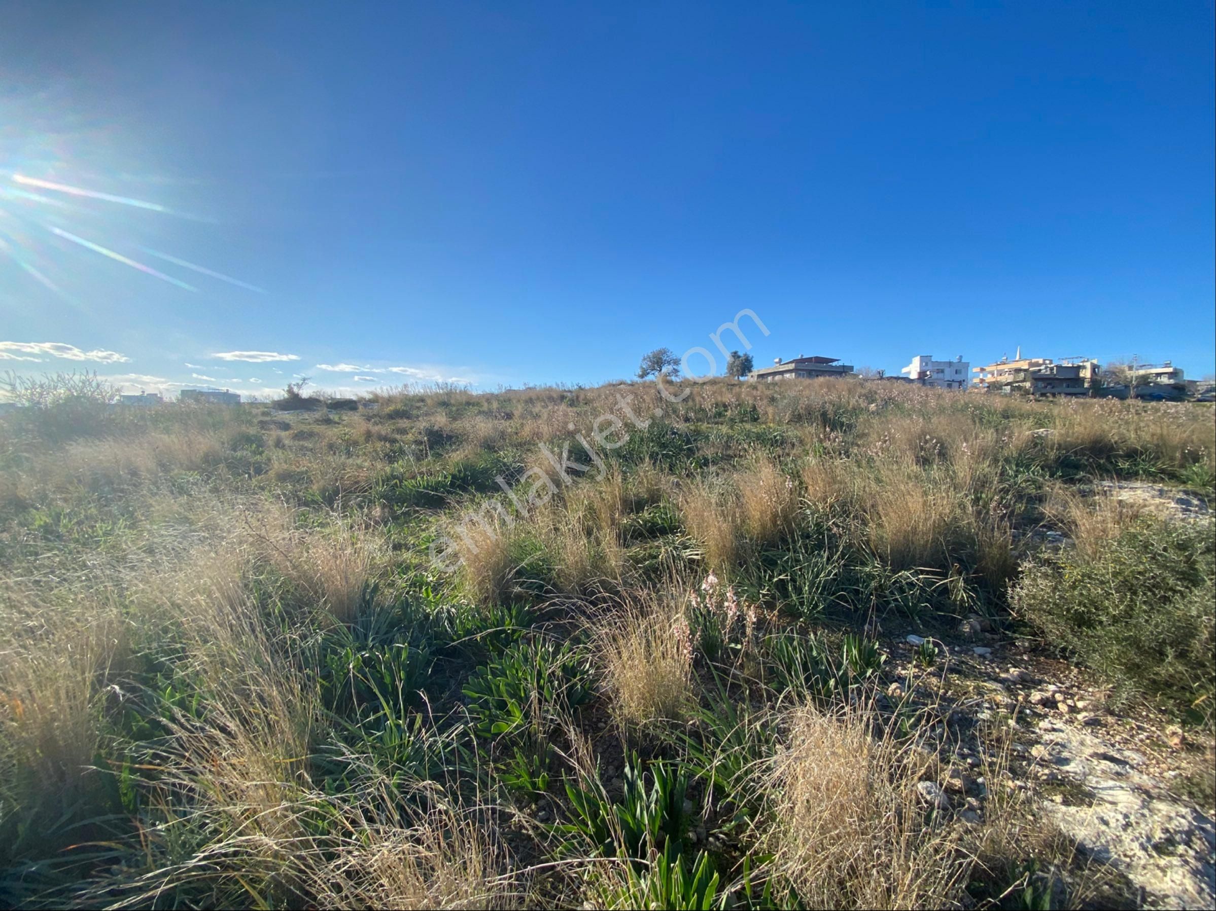 Akgedik Köyünde Bulunan Tarlamız Satılıktır - Görsel 9