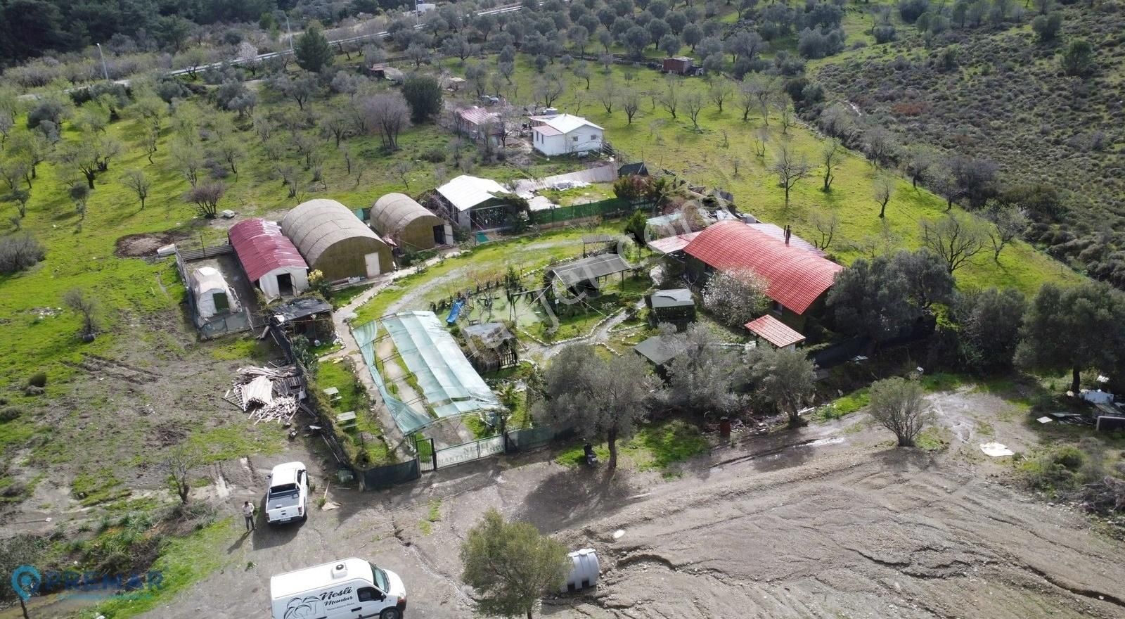 Premar Datça Hızırşah'da 2110m2 İçinde Mantar Üretim Çiftliği - Görsel 3