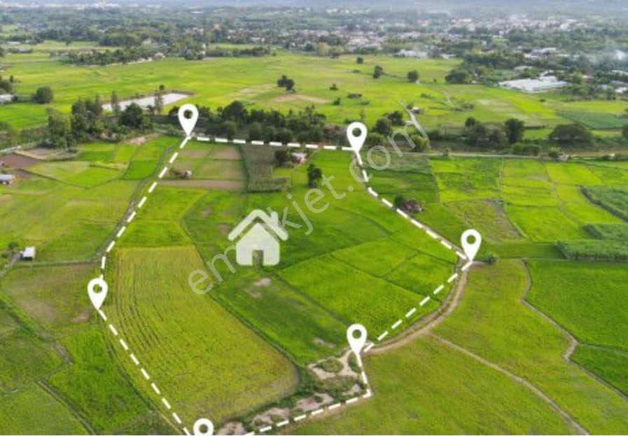 Bursa Karacabeyde Arsa