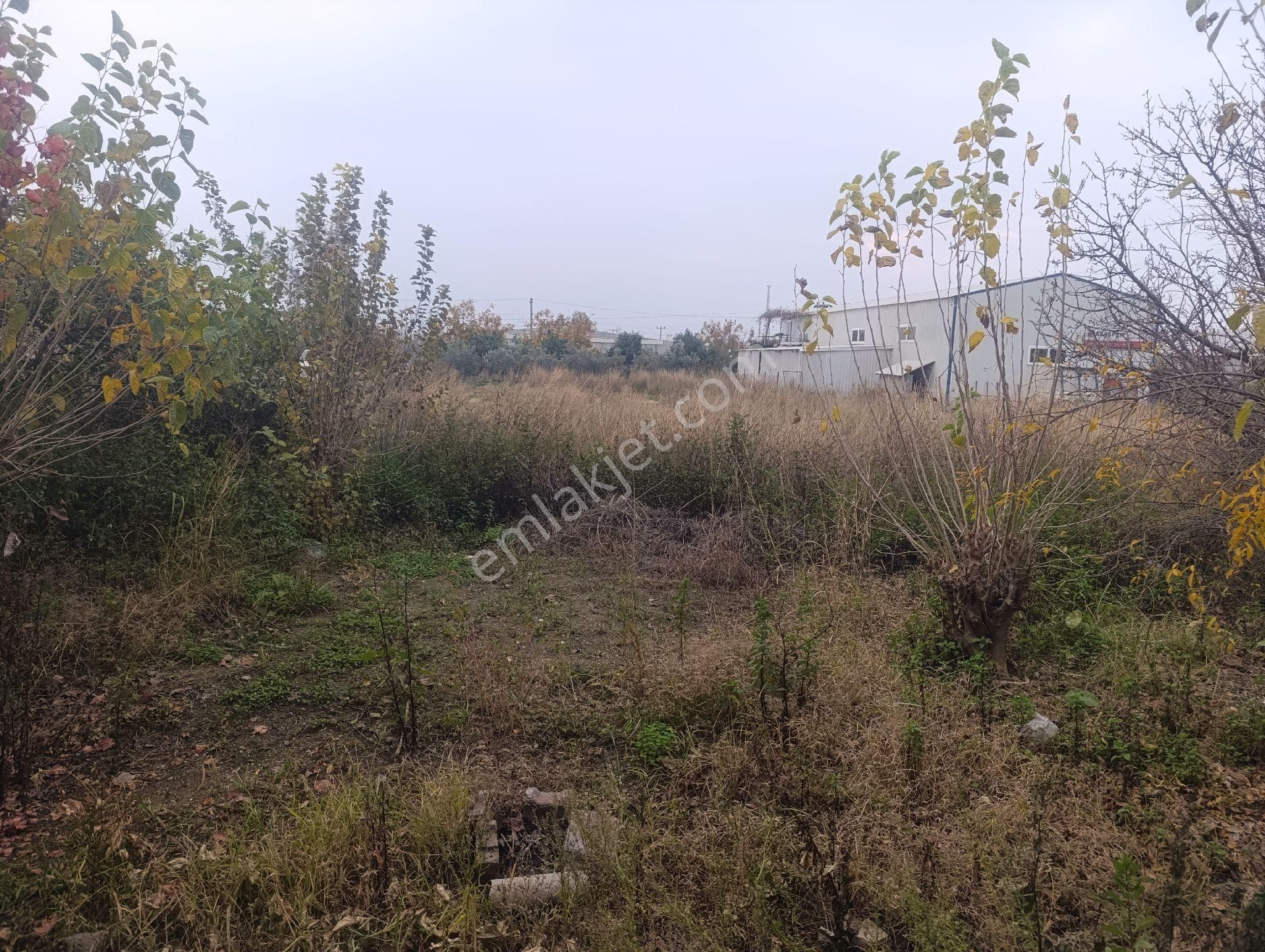 Kat Karşılığı Arsamız Verilecektir - Görsel 3