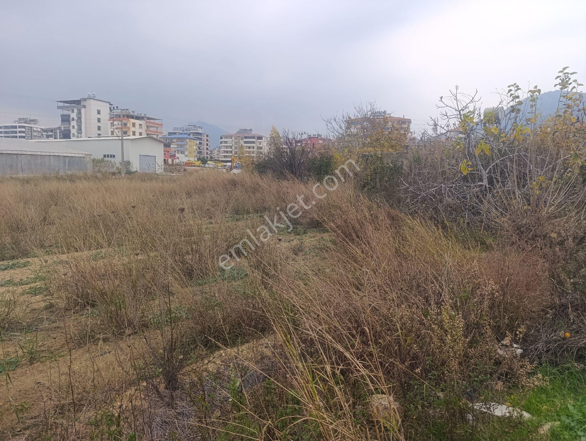 Kat Karşılığı Arsamız Verilecektir - Görsel 9