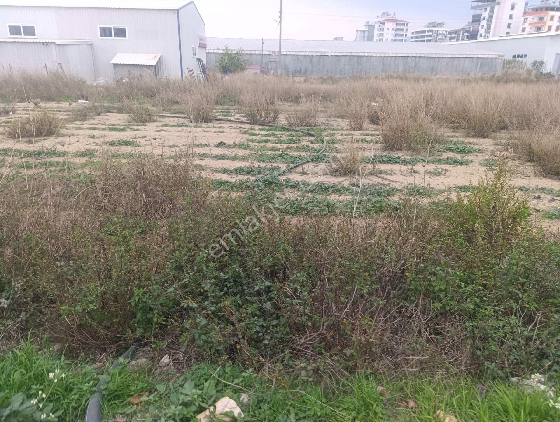 Kat Karşılığı Arsamız Verilecektir - Görsel 8