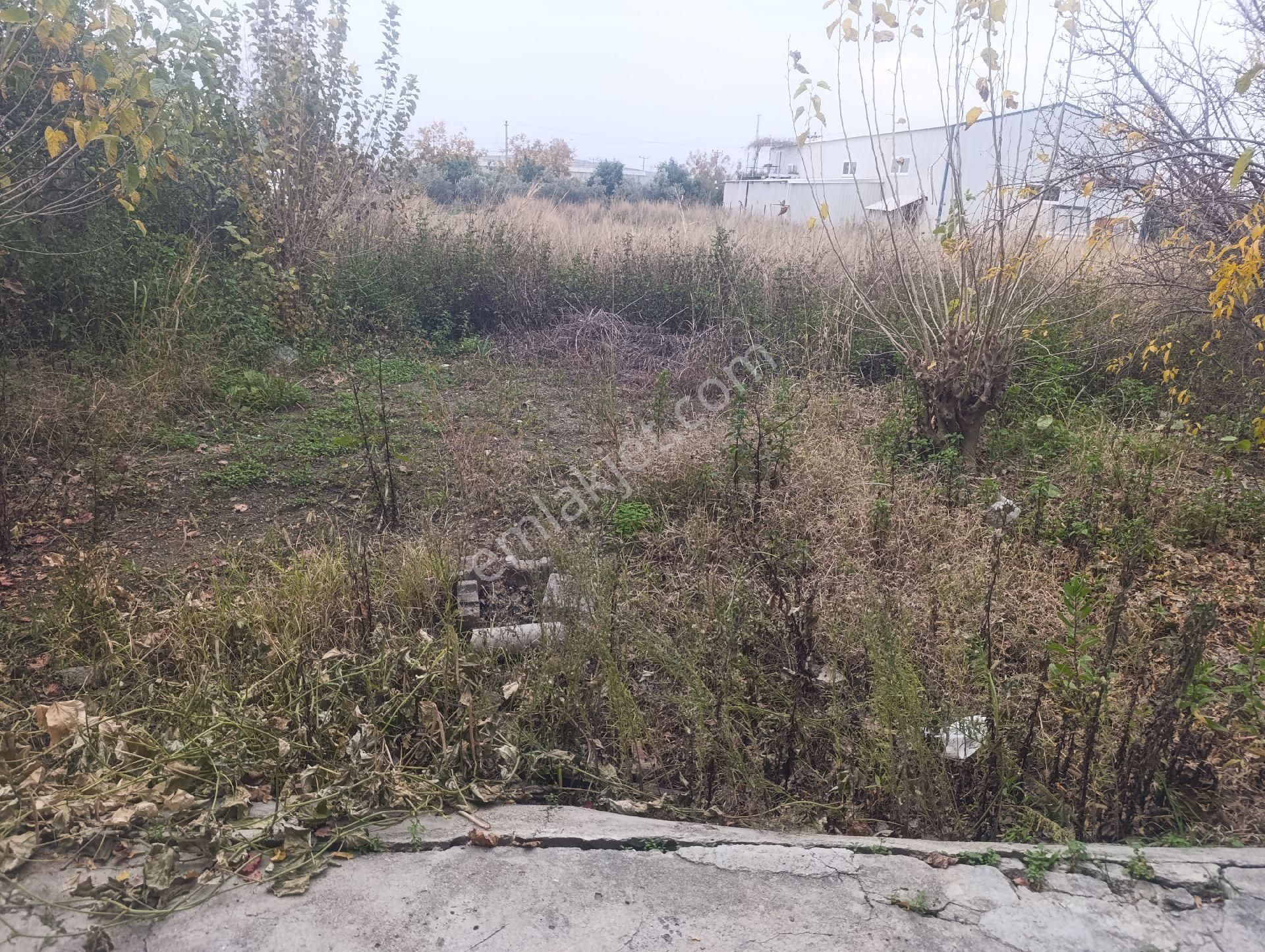 Kat Karşılığı Arsamız Verilecektir - Görsel 4