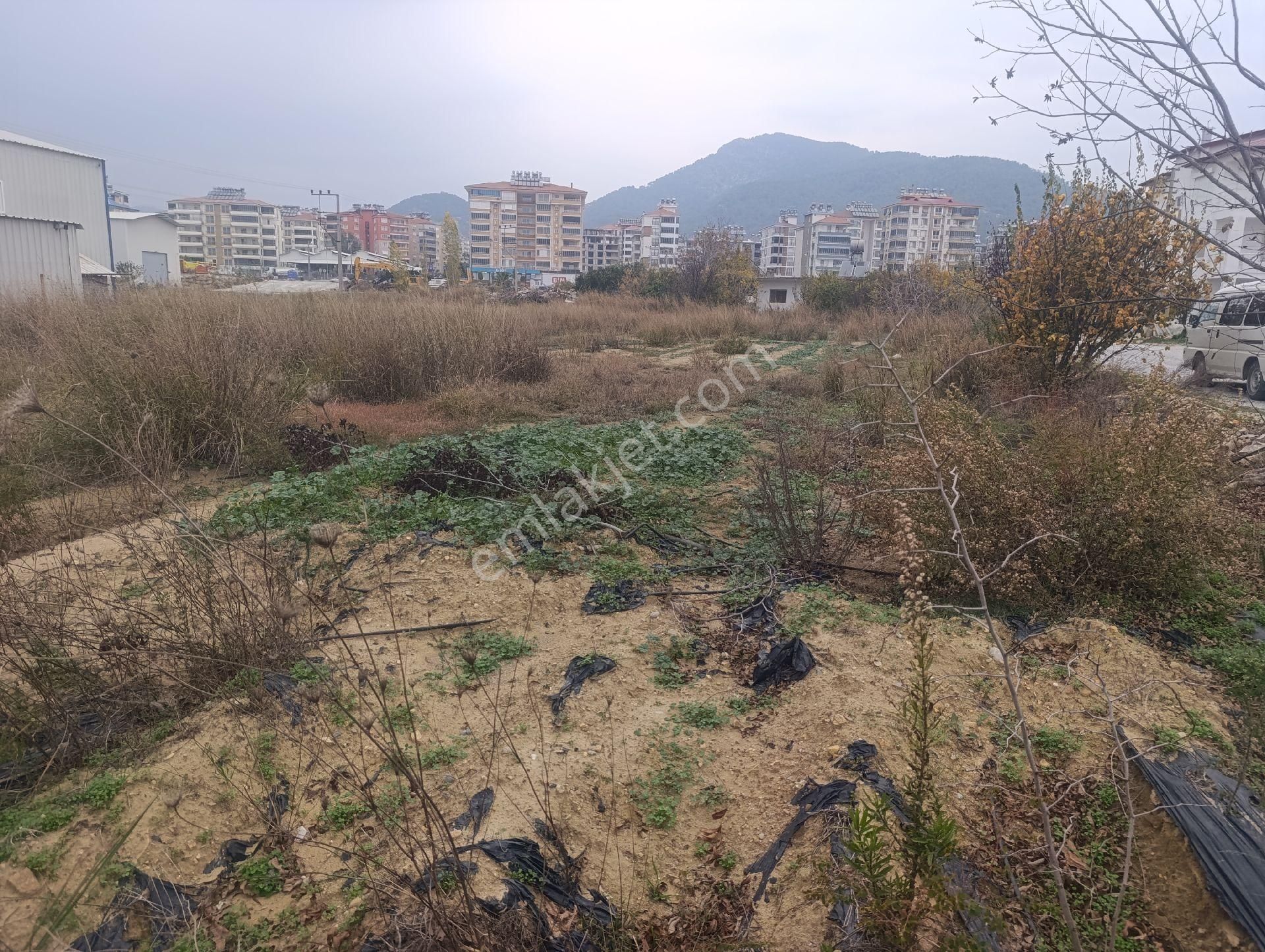 Kat Karşılığı Arsamız Verilecektir - Görsel 7