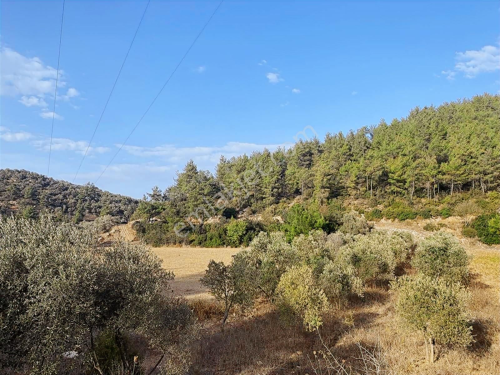 Milas Kuzyaka Mah. Yola Sıfır Satılık Tarla - Görsel 8