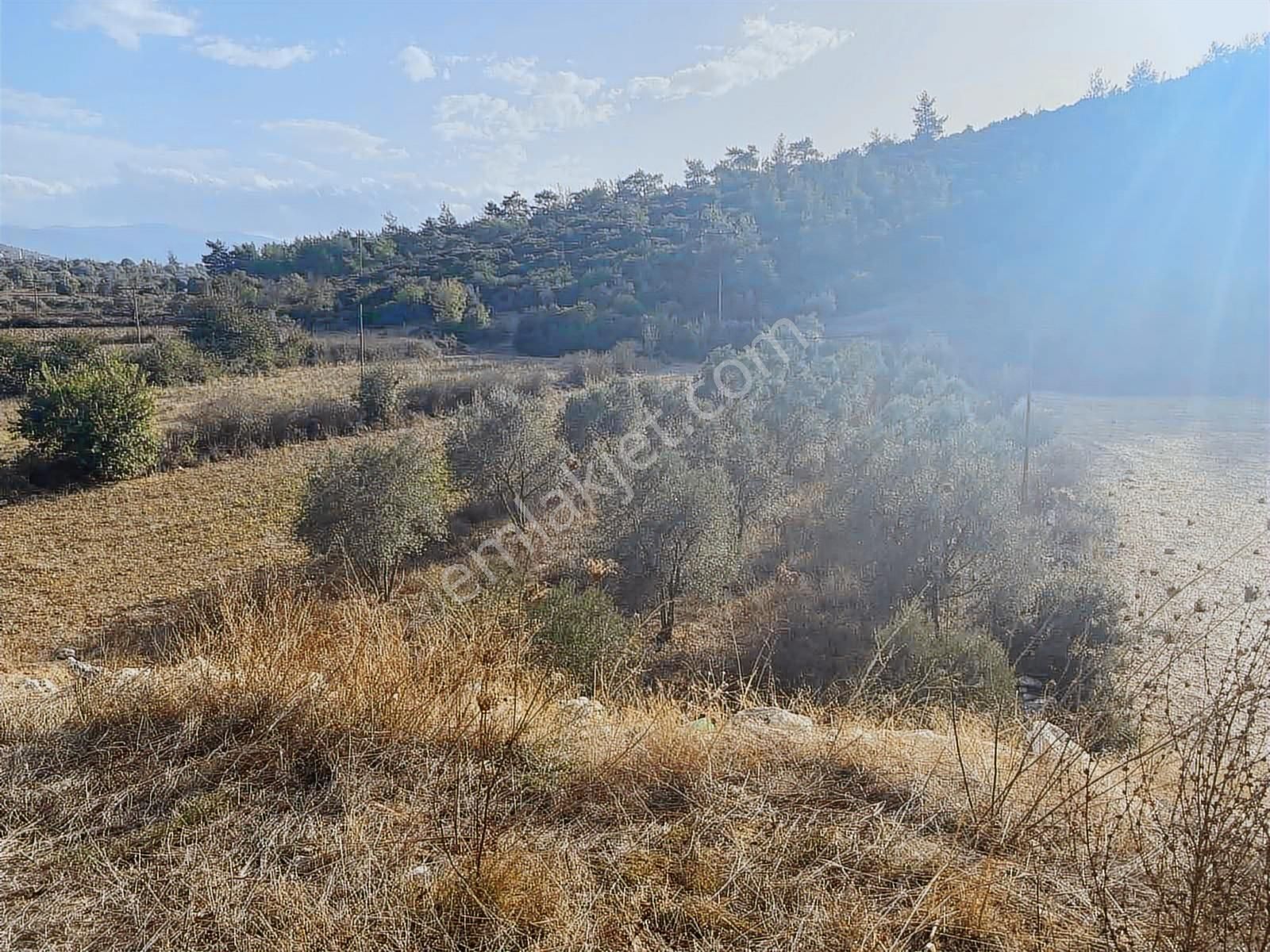 Milas Kuzyaka Mah. Yola Sıfır Satılık Tarla - Görsel 6