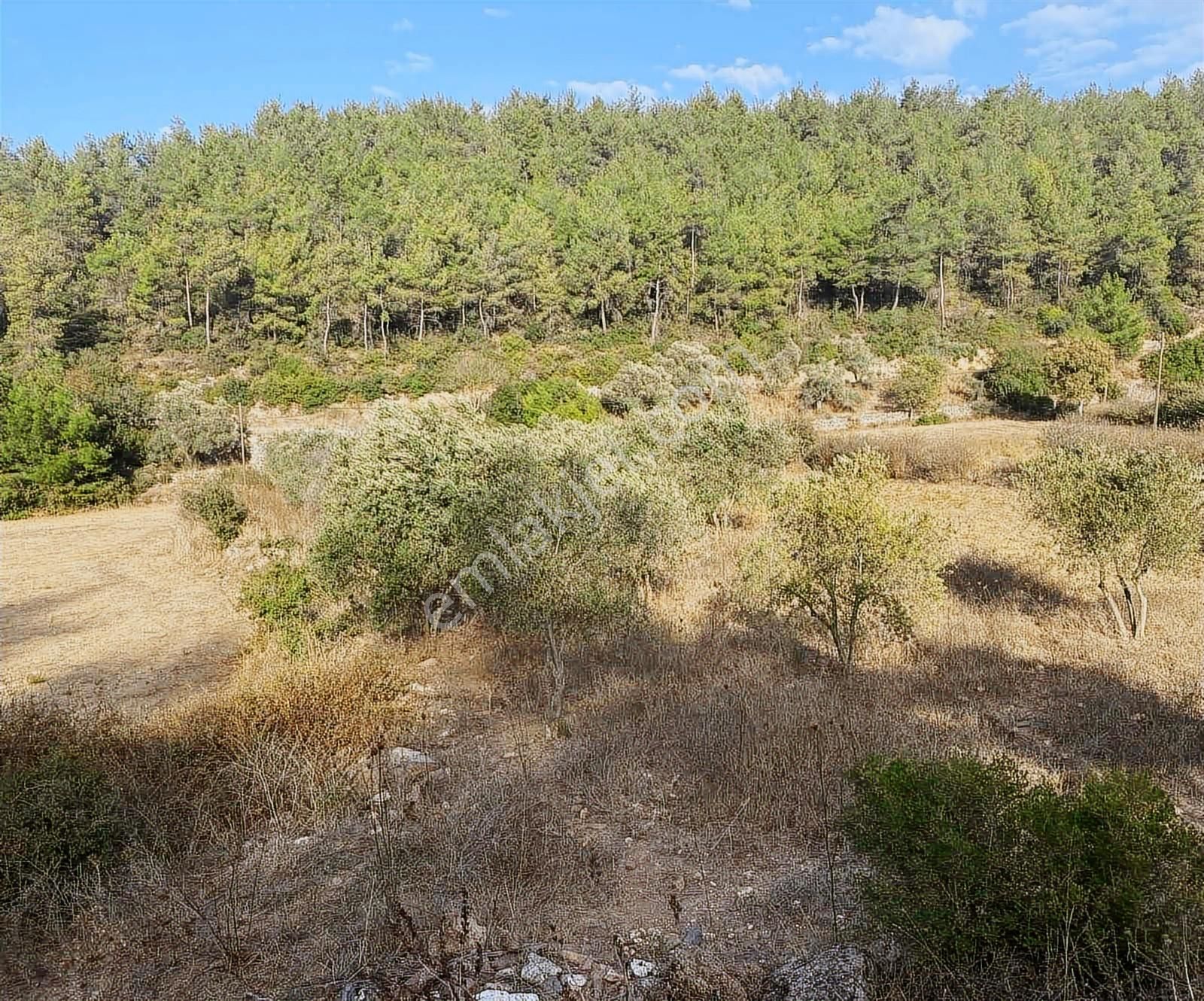 Milas Kuzyaka Mah. Yola Sıfır Satılık Tarla - Görsel 2