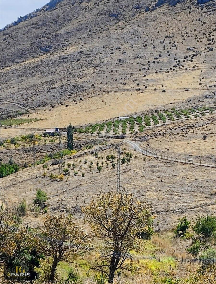 Paris'ten Çamardı Mahmatlı'da 5935 M2 Tek Tapu Satılık Tarla - Görsel 30