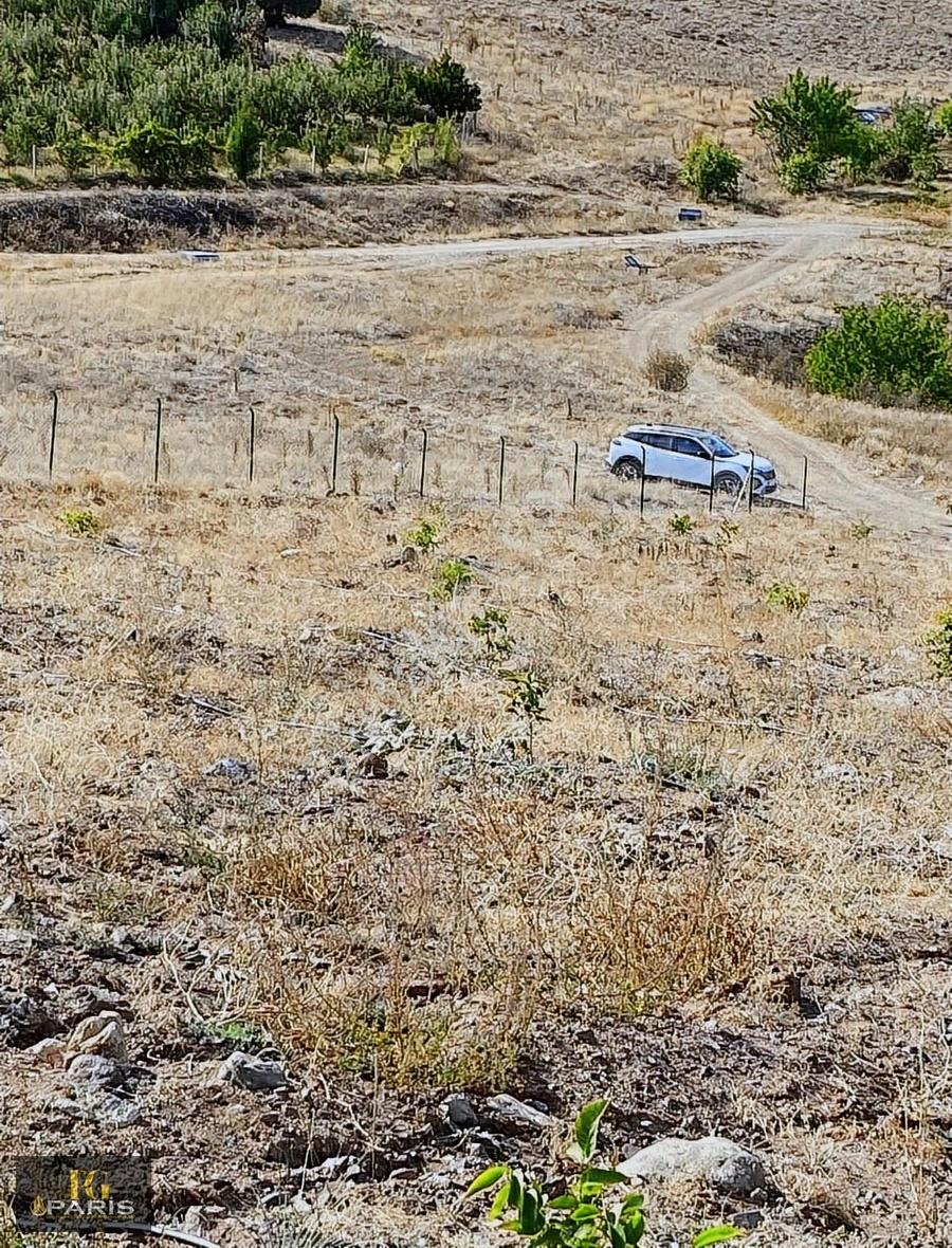 Paris'ten Çamardı Mahmatlı'da 5935 M2 Tek Tapu Satılık Tarla - Görsel 15