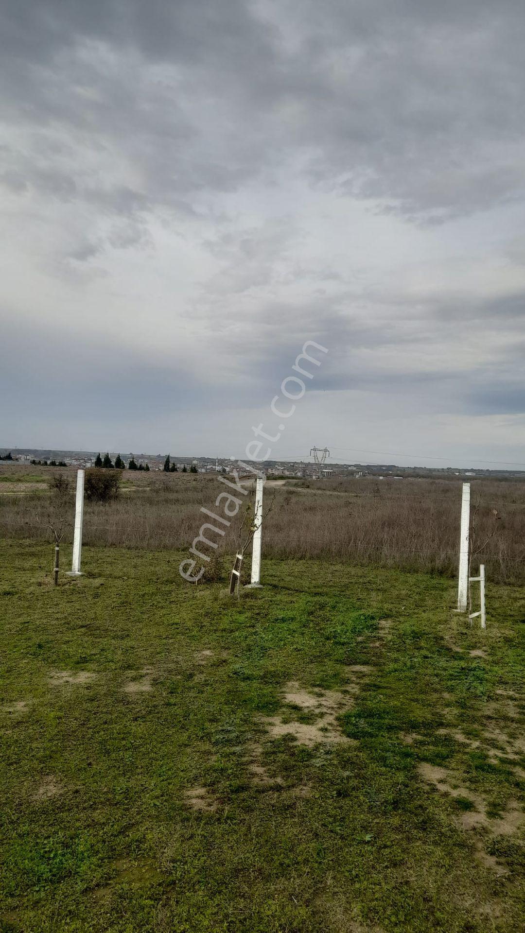 Tekirdağ Ergene Velimeşe Mh Satılık Arsa - Görsel 15