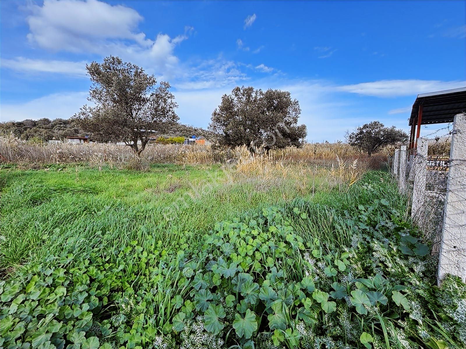 Aliağa Helvacıda Satılık 615 M2 Kupon Arsa - Görsel 13