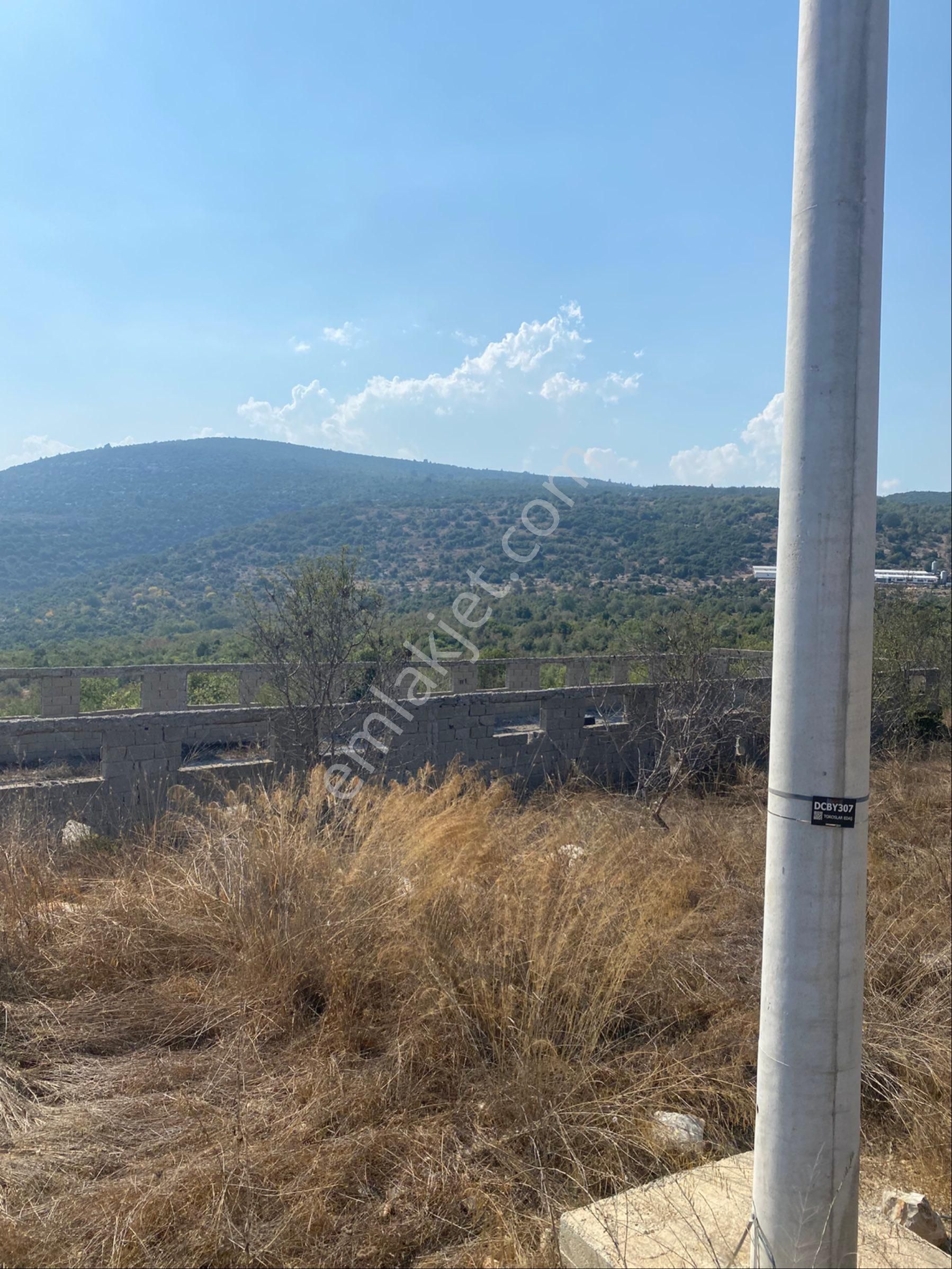 Beylice Köyü’nde Bulunan Evimiz Ve Tarlamız Satılıktır - Görsel 29