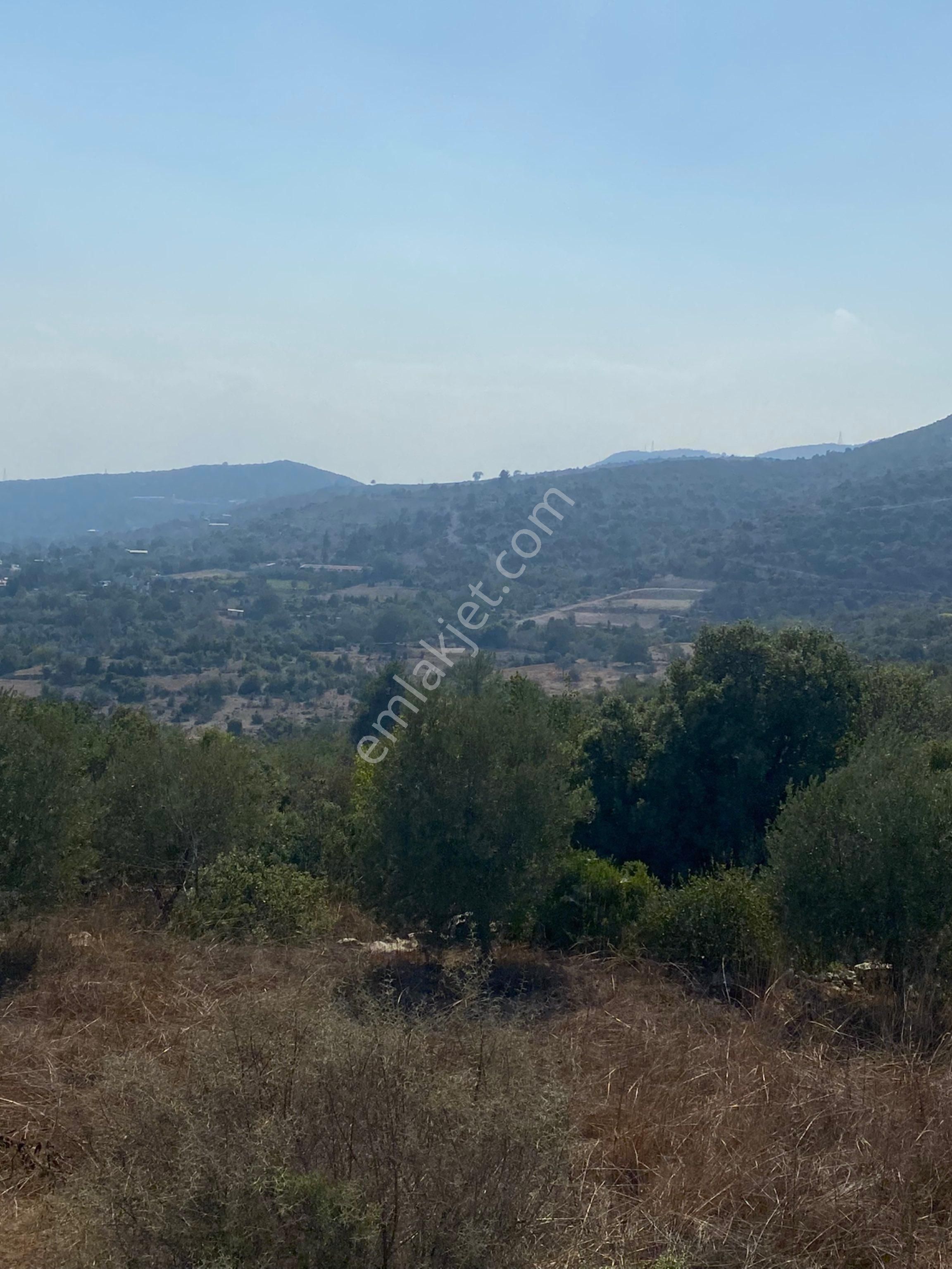 Beylice Köyü’nde Bulunan Evimiz Ve Tarlamız Satılıktır - Görsel 11