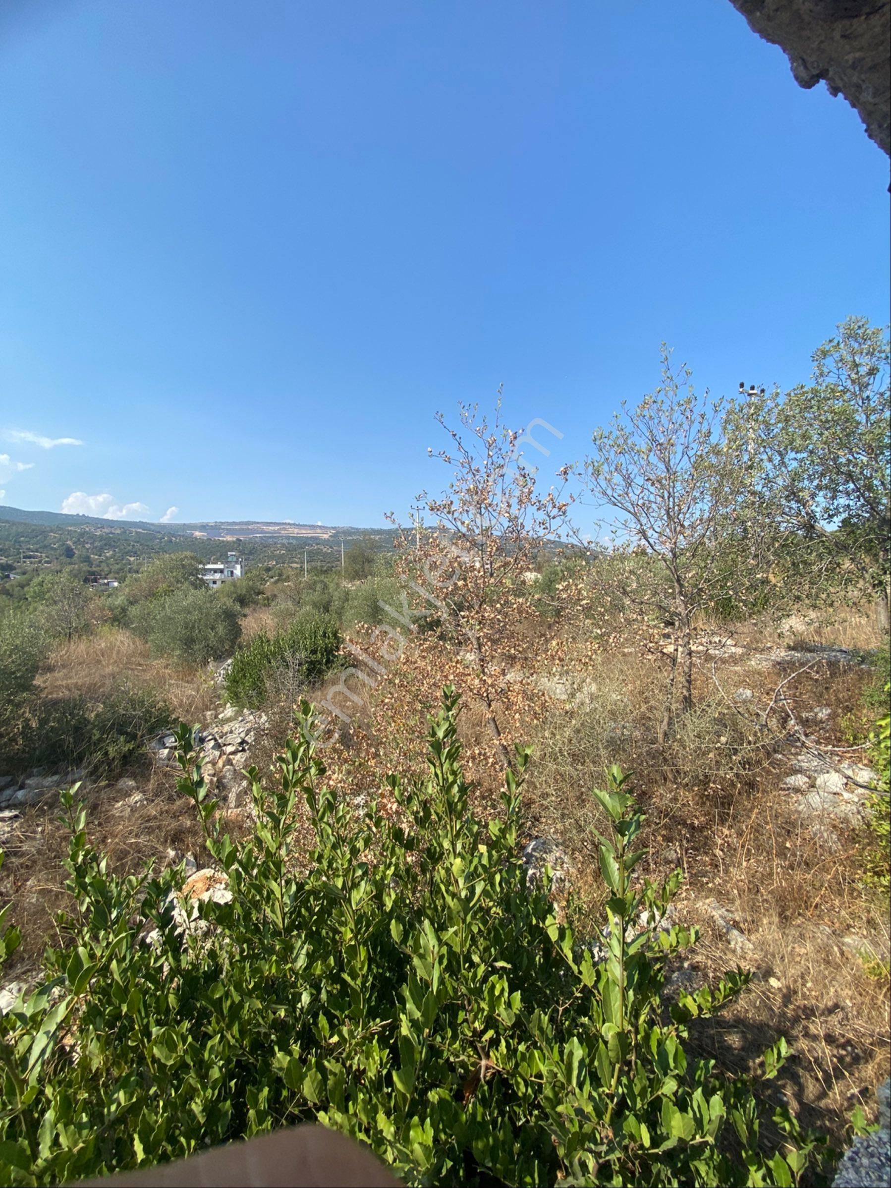 Beylice Köyü’nde Bulunan Evimiz Ve Tarlamız Satılıktır - Görsel 15