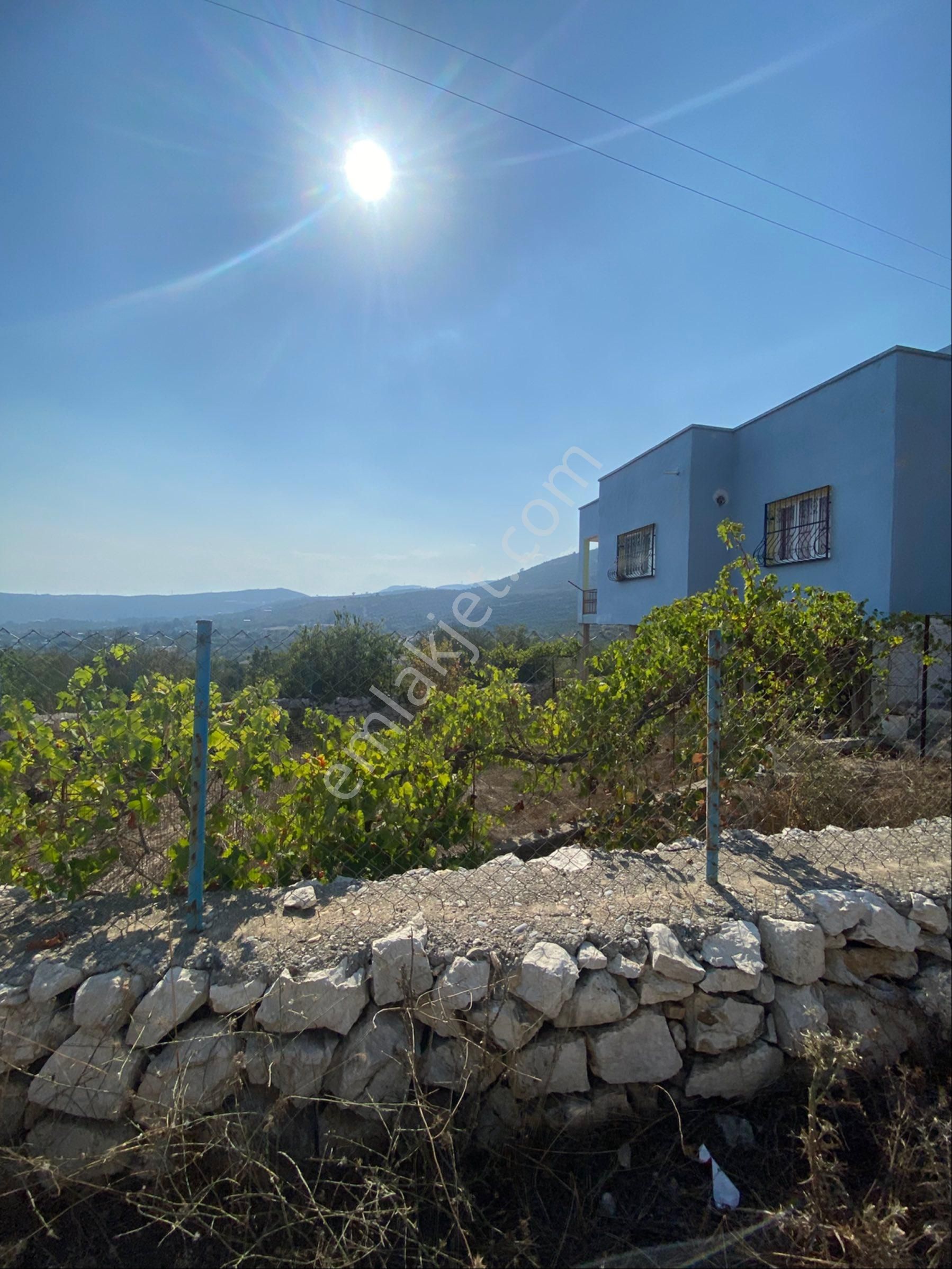 Beylice Köyü’nde Bulunan Evimiz Ve Tarlamız Satılıktır - Görsel 24