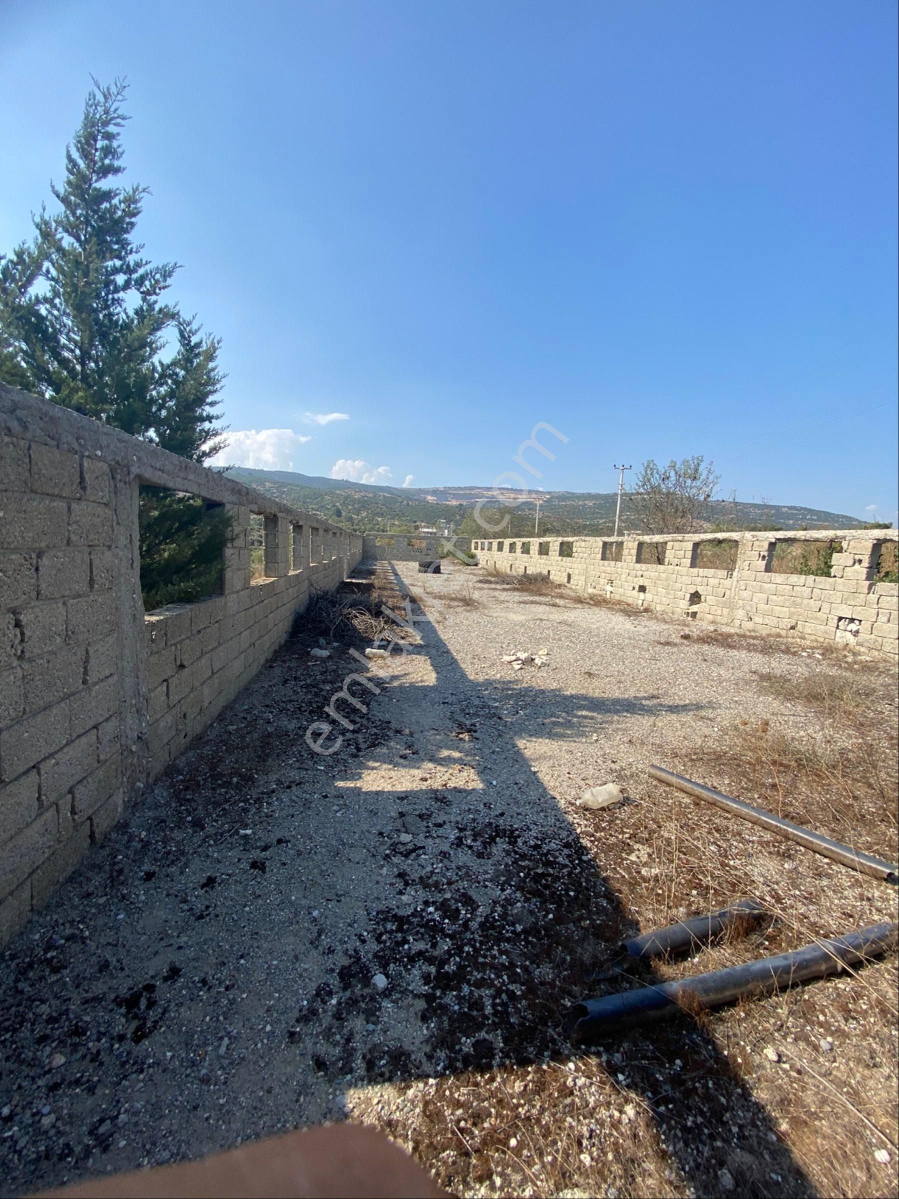 Beylice Köyü’nde Bulunan Evimiz Ve Tarlamız Satılıktır - Görsel 17