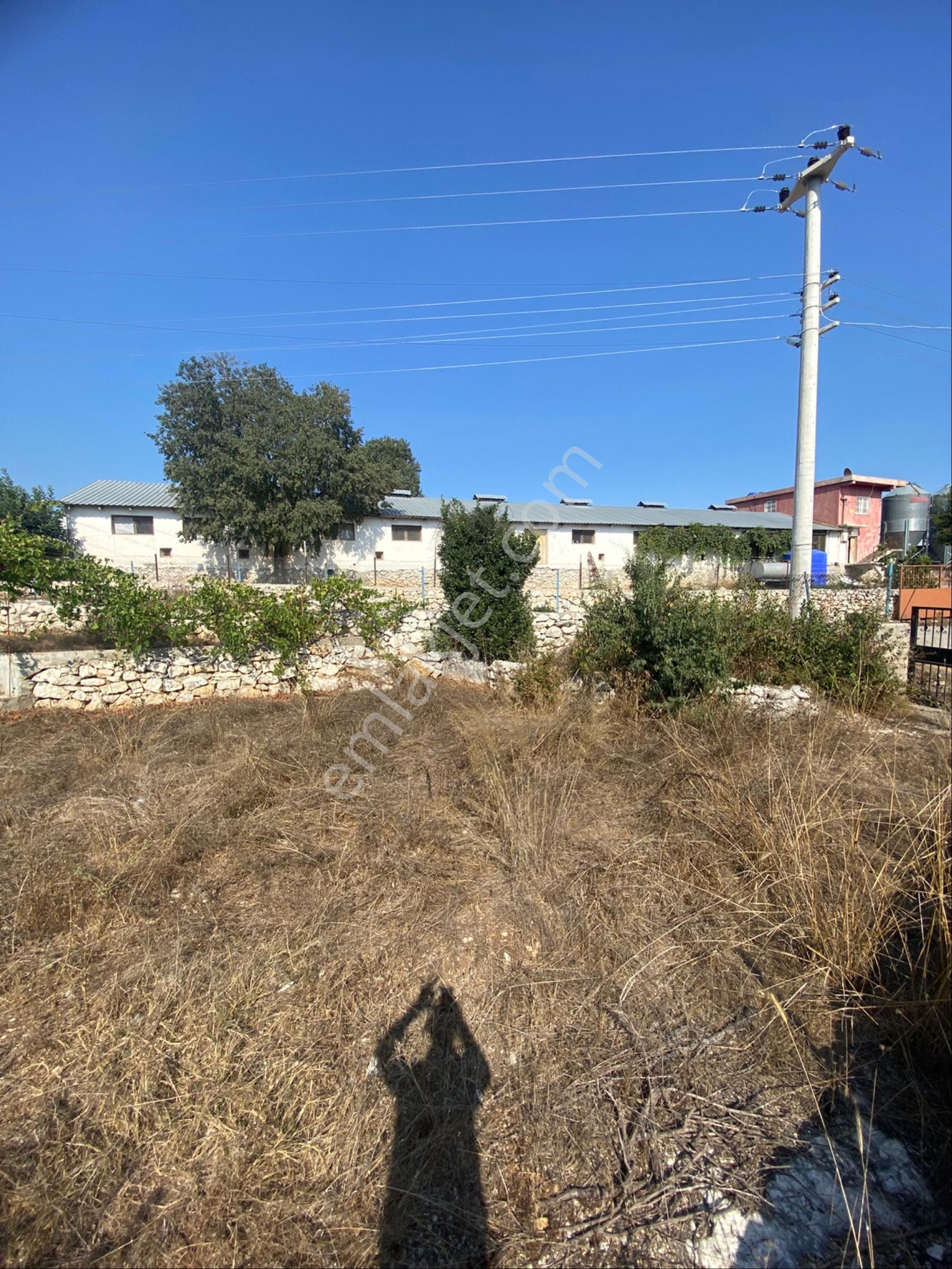 Beylice Köyü’nde Bulunan Evimiz Ve Tarlamız Satılıktır - Görsel 20