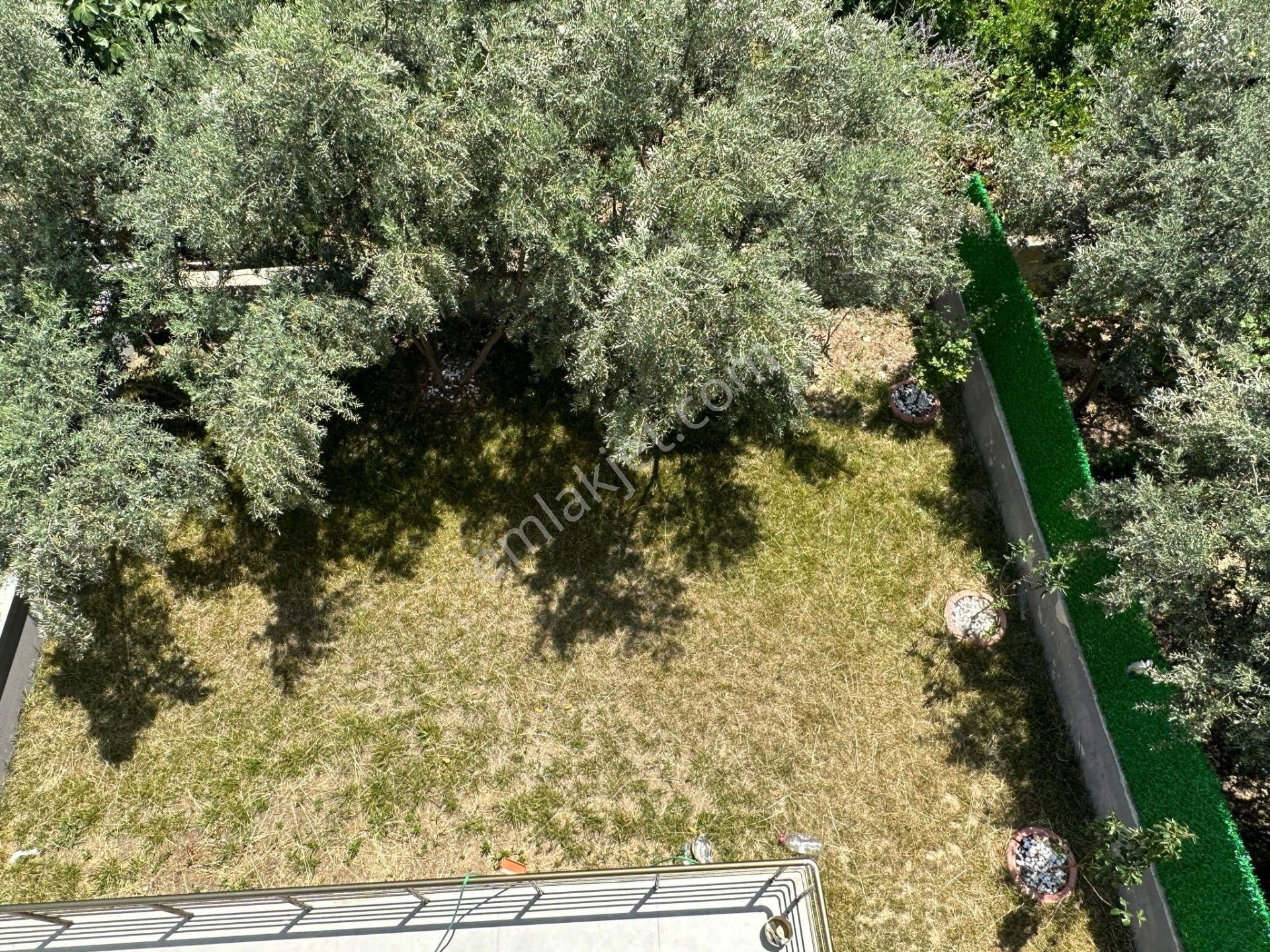 Seferihisar Doğanbeyde 3+1 Geniş Bahçeli Denize Yakın Villa - Görsel 22