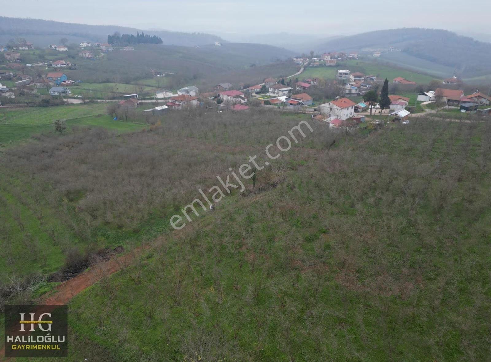 Esentepe Mh Satılık İmarlı 863m2 Satılık Manzaralı Ferah Arsa - Görsel 4