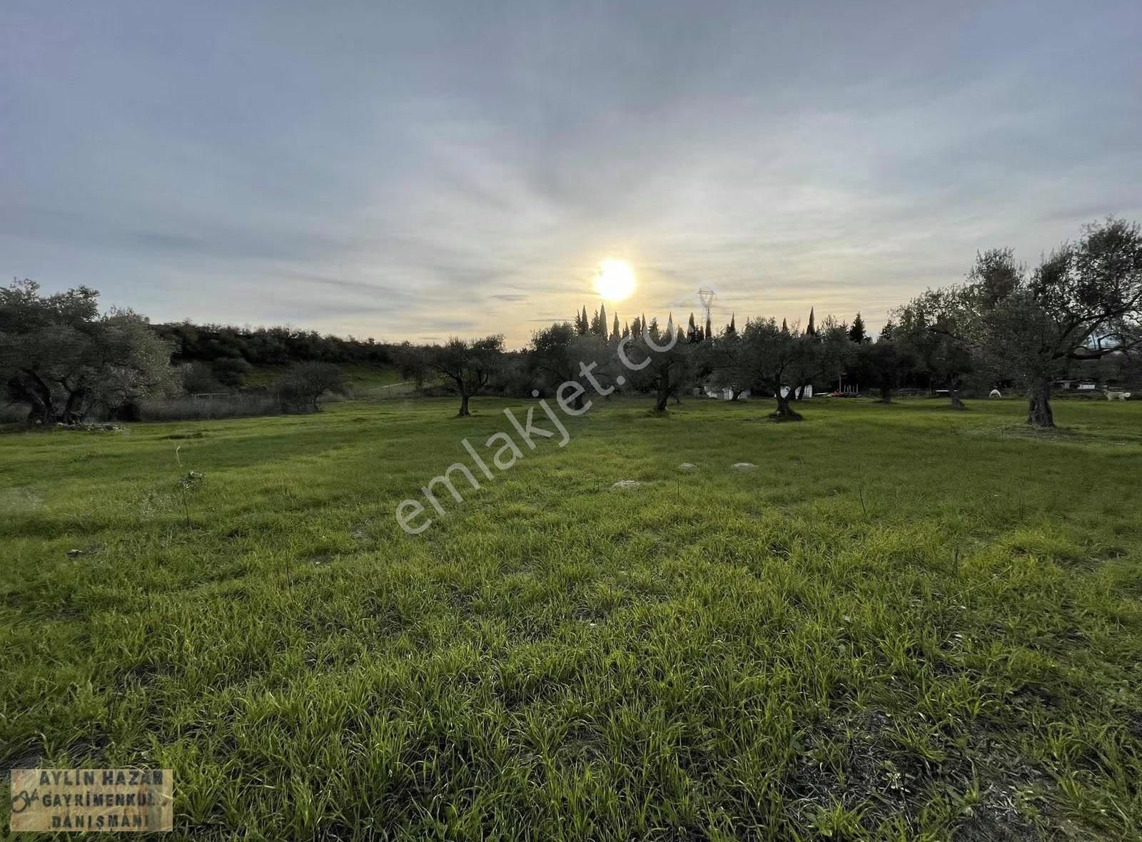 Urla Merkeze Yürüme Mesafesinde Yola Cepheli Müstakil Parsel - Görsel 9