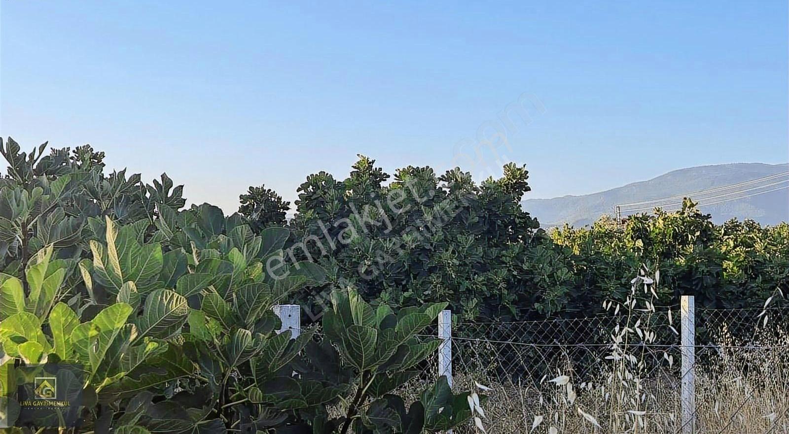 Torbalı Yoğurtçular Köyü'nde Satılık 350m² Arsa - Görsel 4