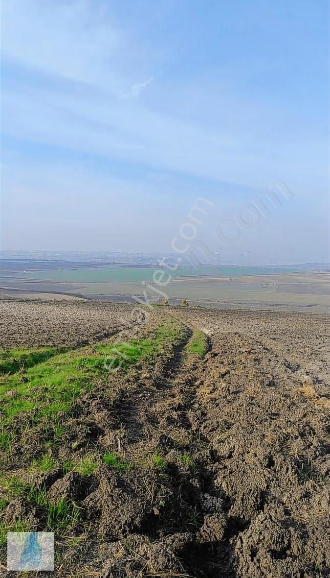Çatalca Nakkaşta Muafakatları Alınmış 2.500 Dönüm Büyük Yatırım - Görsel 5