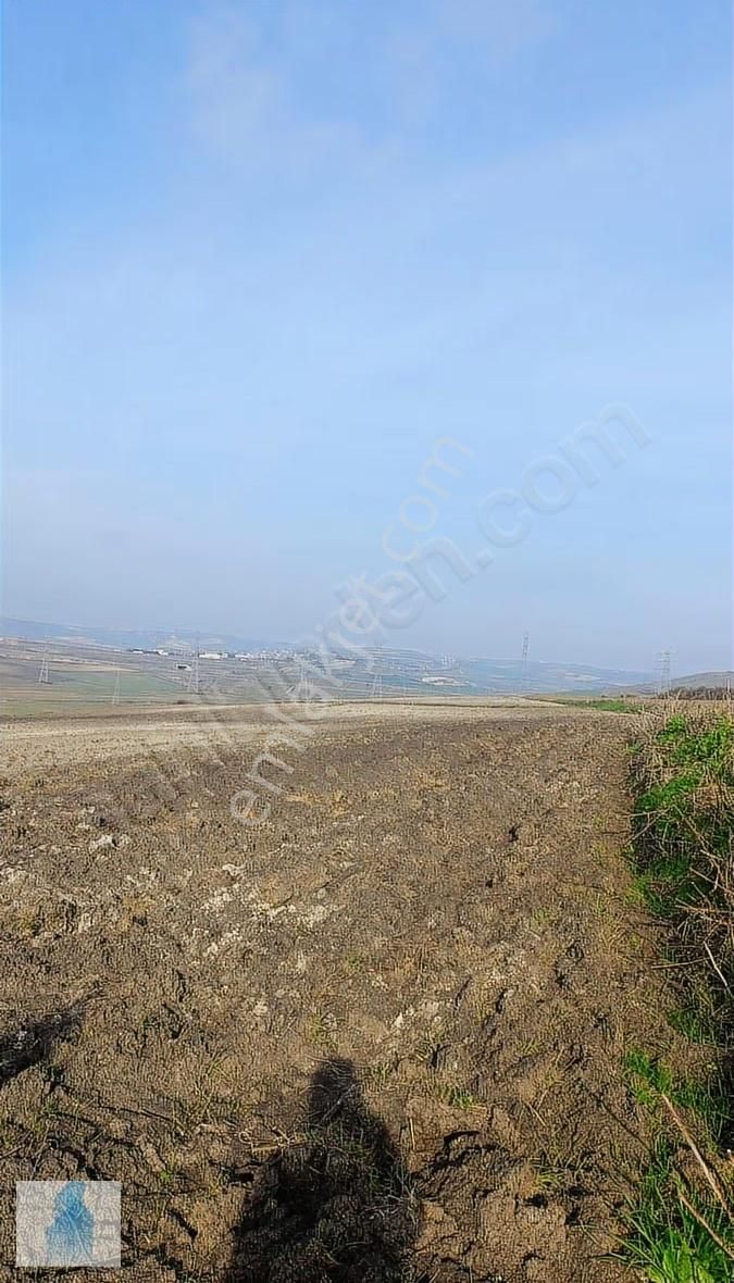 Çatalca Nakkaşta Muafakatları Alınmış 2.500 Dönüm Büyük Yatırım - Görsel 13