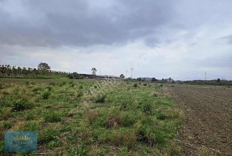 Kayalar Memduhiyede İmar Yakın 1.236 M2 Arazi - Görsel 4