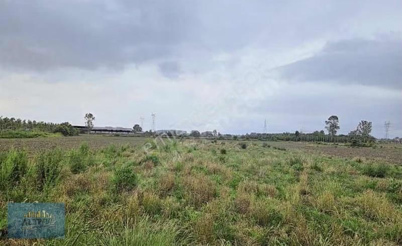 Kayalar Memduhiyede İmar Yakın 1.236 M2 Arazi - Görsel 2